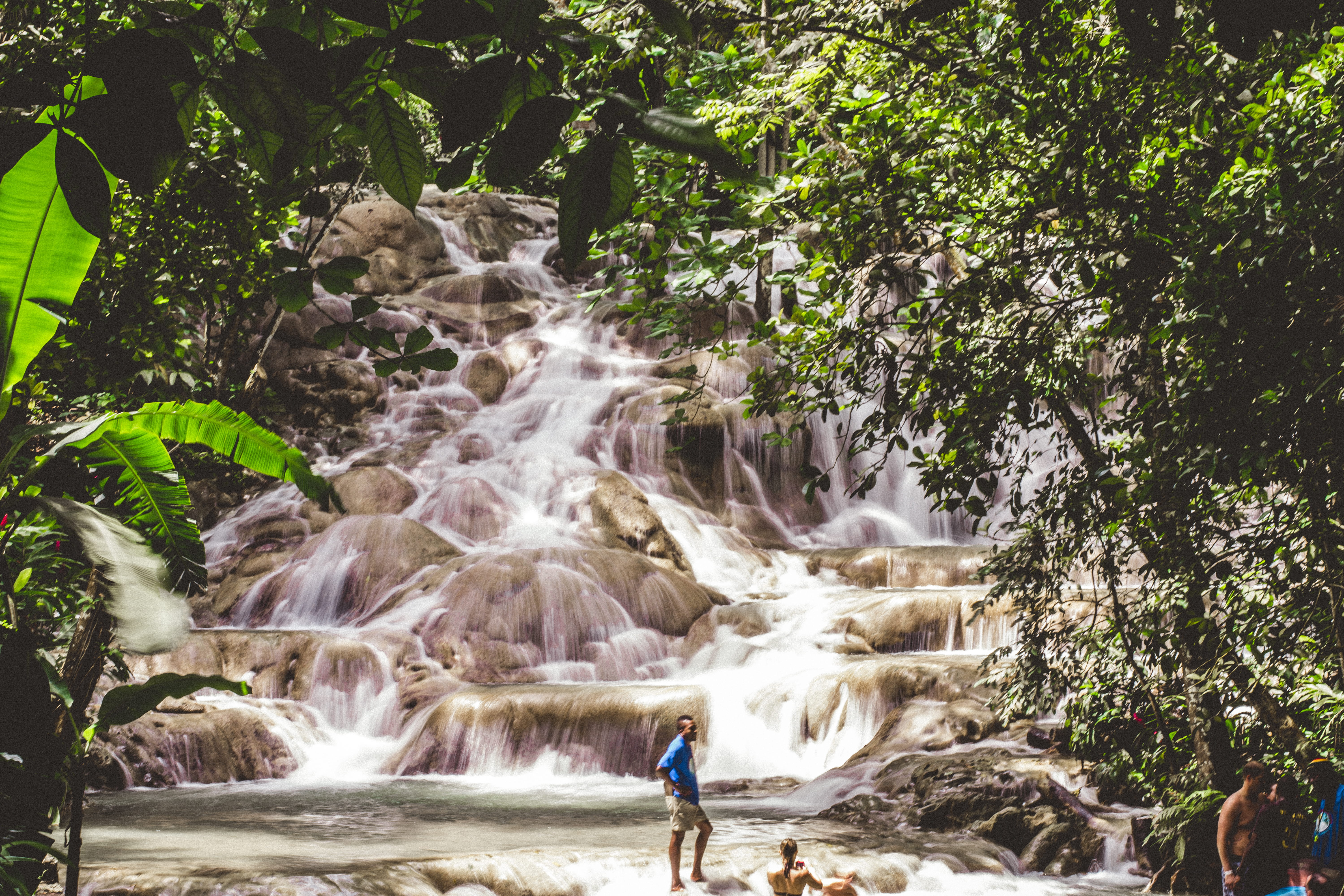 power in nature, scenic, jungle, plant, forest, trees, people, river, motion, nature, palm trees, tropical, 5K, waterfall, lake, land, growth, scenics - nature, HD Wallpaper