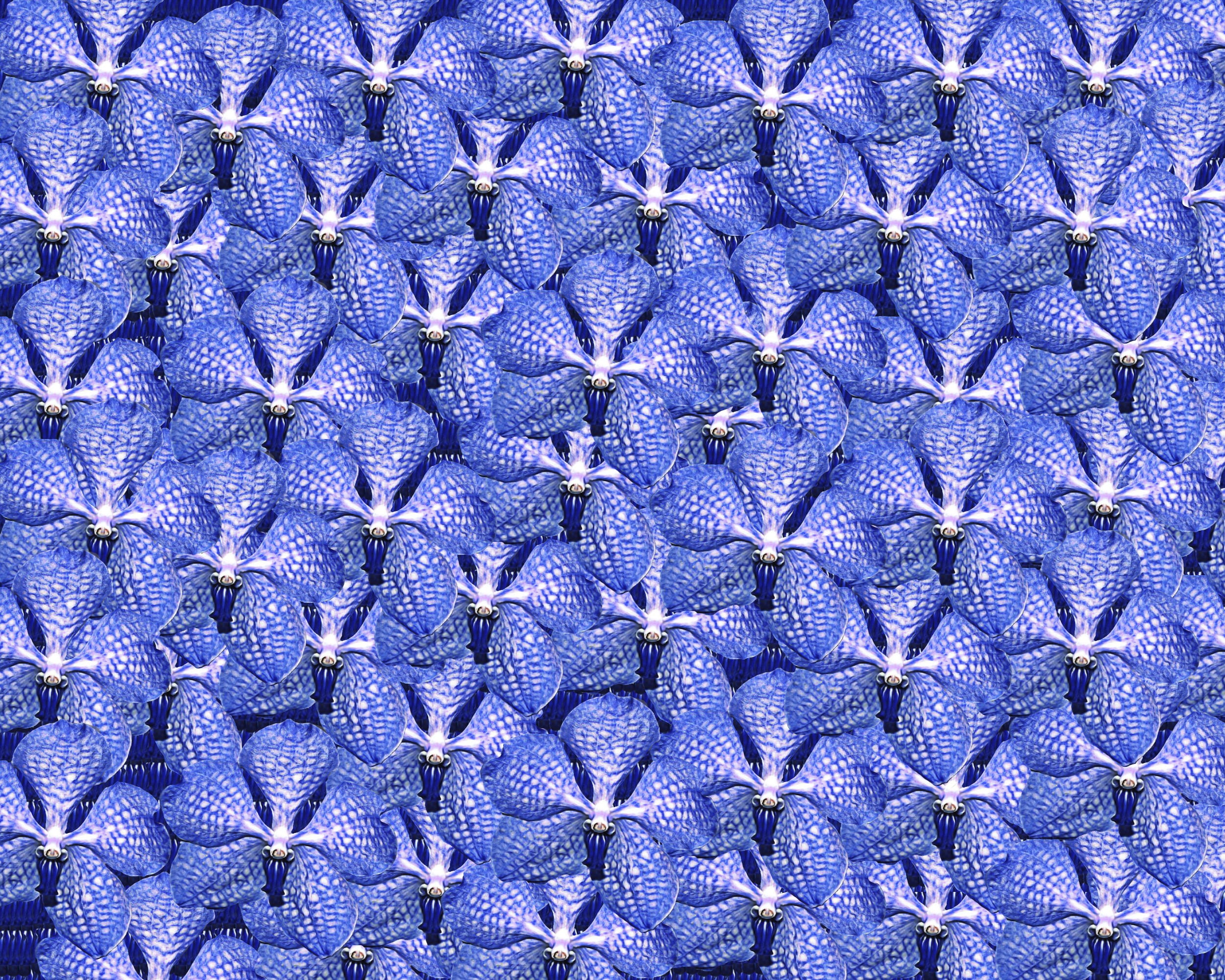 full frame, purple, blue, textured, background, backgrounds, screen saver, floral pattern, nature, textile, extreme close-up, vintage flowers, shape, large group of objects, HD Wallpaper
