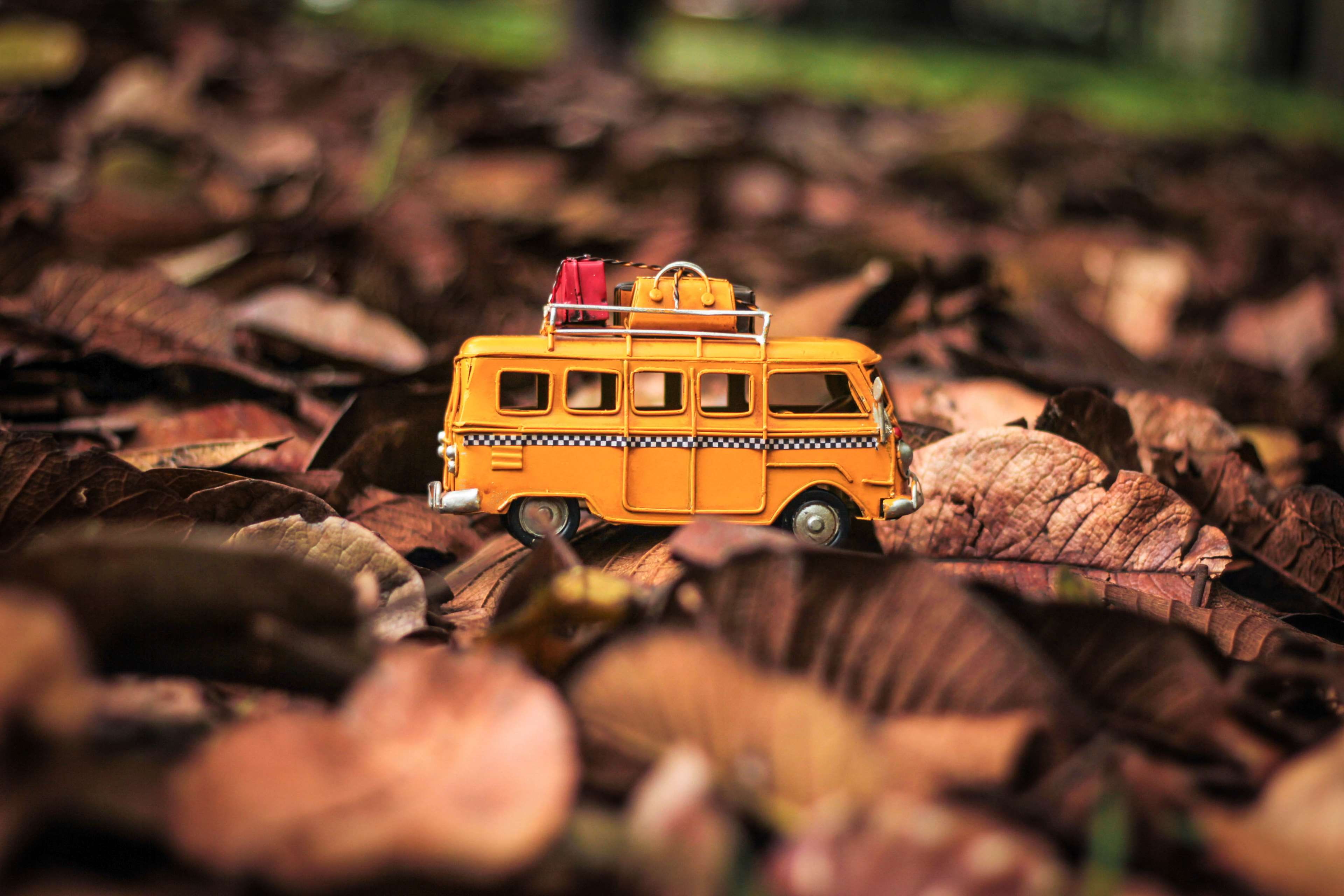 nature, transportation, plant part, toy, leafs, mode of transportation, combi, plant, toy car, selective focus, car, toy cars, collection, land vehicle, HD Wallpaper