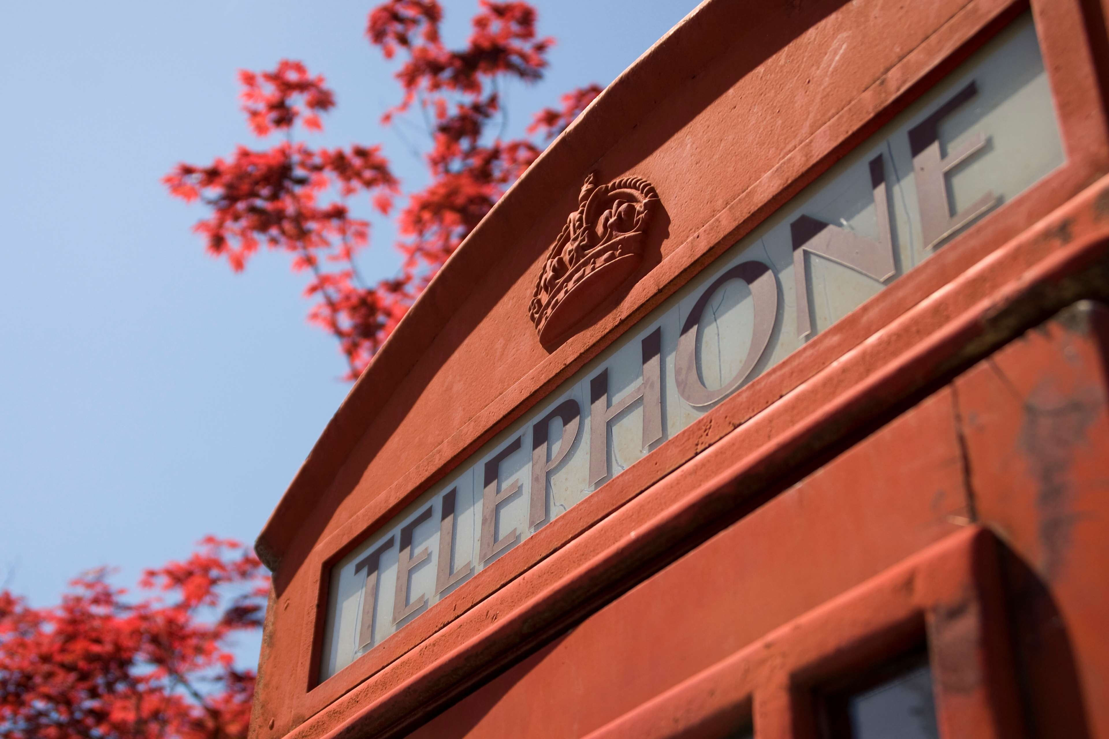 nature, telephone, outdoors, red, 4K, building exterior, sky, city, built structure, architecture, tree, great britain, clear sky, day, telephone booth, HD Wallpaper