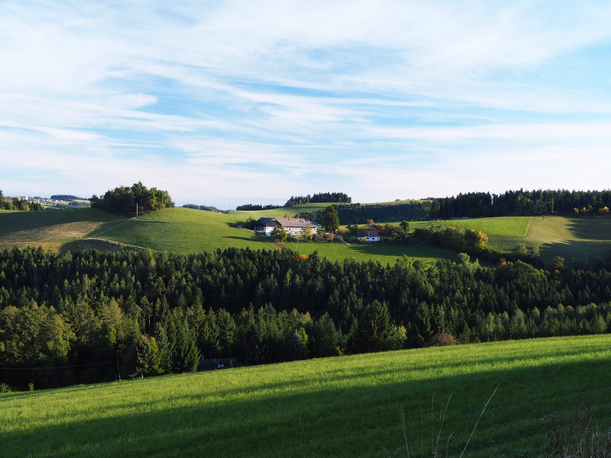 meadow, austria, beauty in nature, growth, blue sky, 1080P, rural scene, field, cloud - sky, green color, grass, green, tree, flora, romantic, relaxation, HD Wallpaper