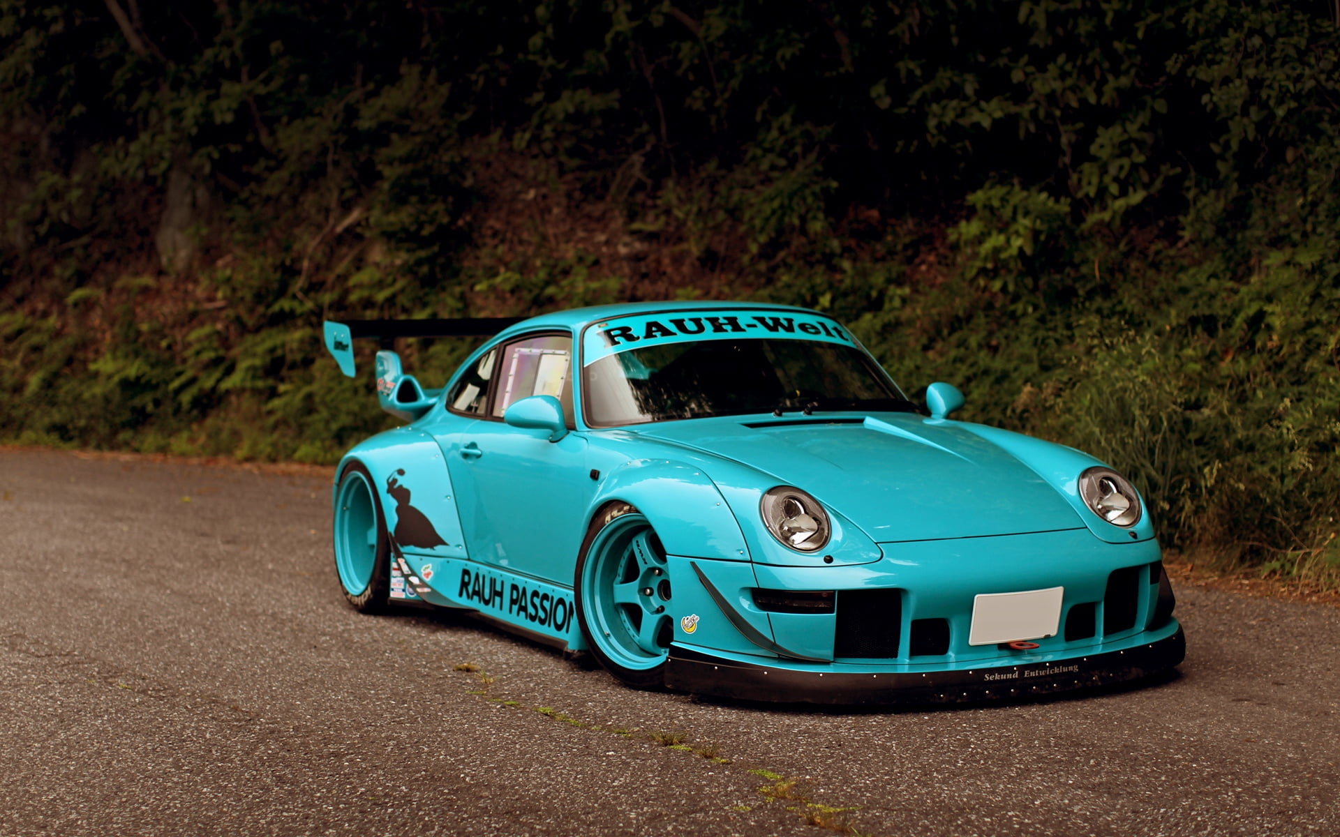 nature, land, outdoors, engine, porsche 911 tuning, elegance, day, status Car, speed, new, plant, racecar, carrera, mode of transportation, toy car, motorsport, HD Wallpaper