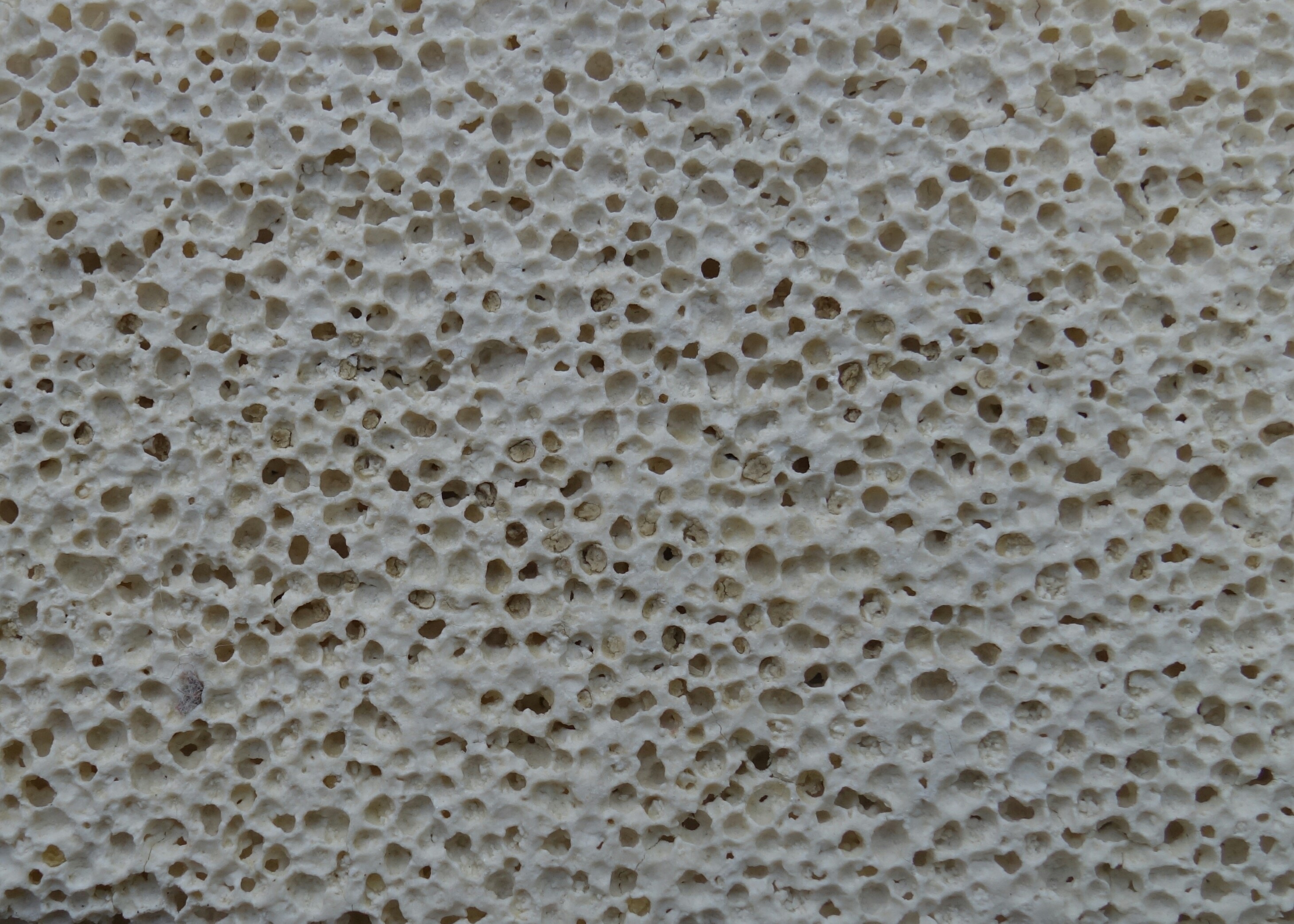 dry, pumice stone, background, textile, natural pattern, still life, 2K, rauh, holes, abundance, large group of objects, food and drink, texture, food, HD Wallpaper