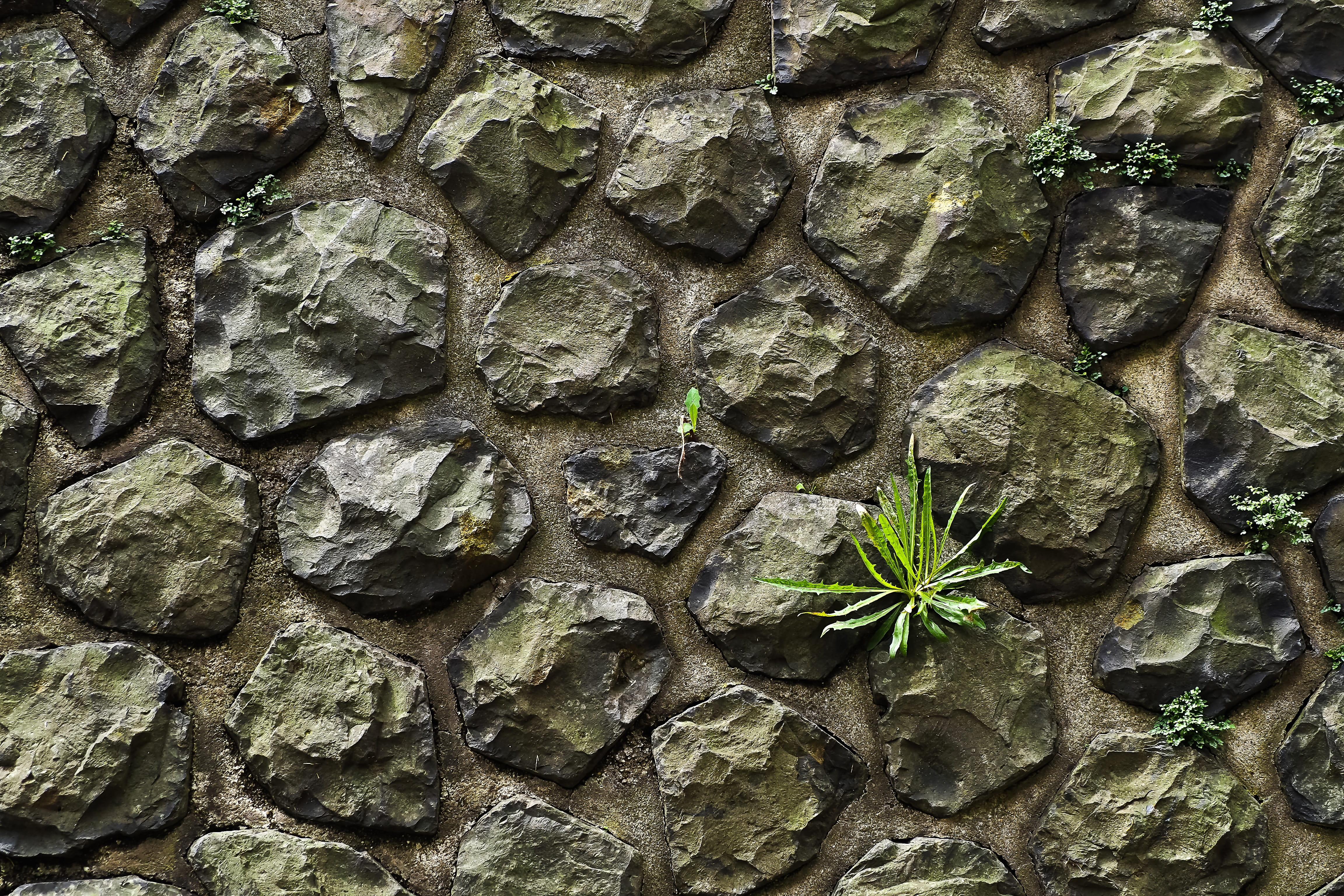 full frame, 4K, texture, natural stone wall, no people, green, solid, grey, wall, stone, natural pattern, close-up, background, backgrounds, rock, building, HD Wallpaper