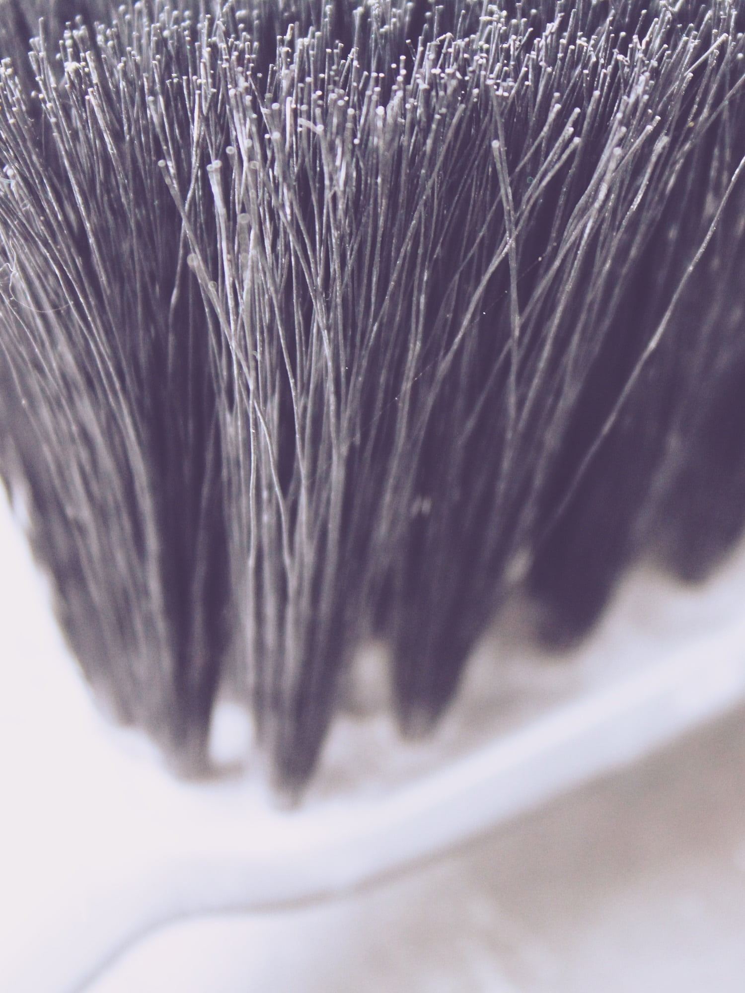 mammal, selective focus, hair, plastic, one animal, broom, rauh, close-up, animal themes, nature, day, domestic animals, domestic, pets, cleanliness, sweep, Phone HD Wallpaper