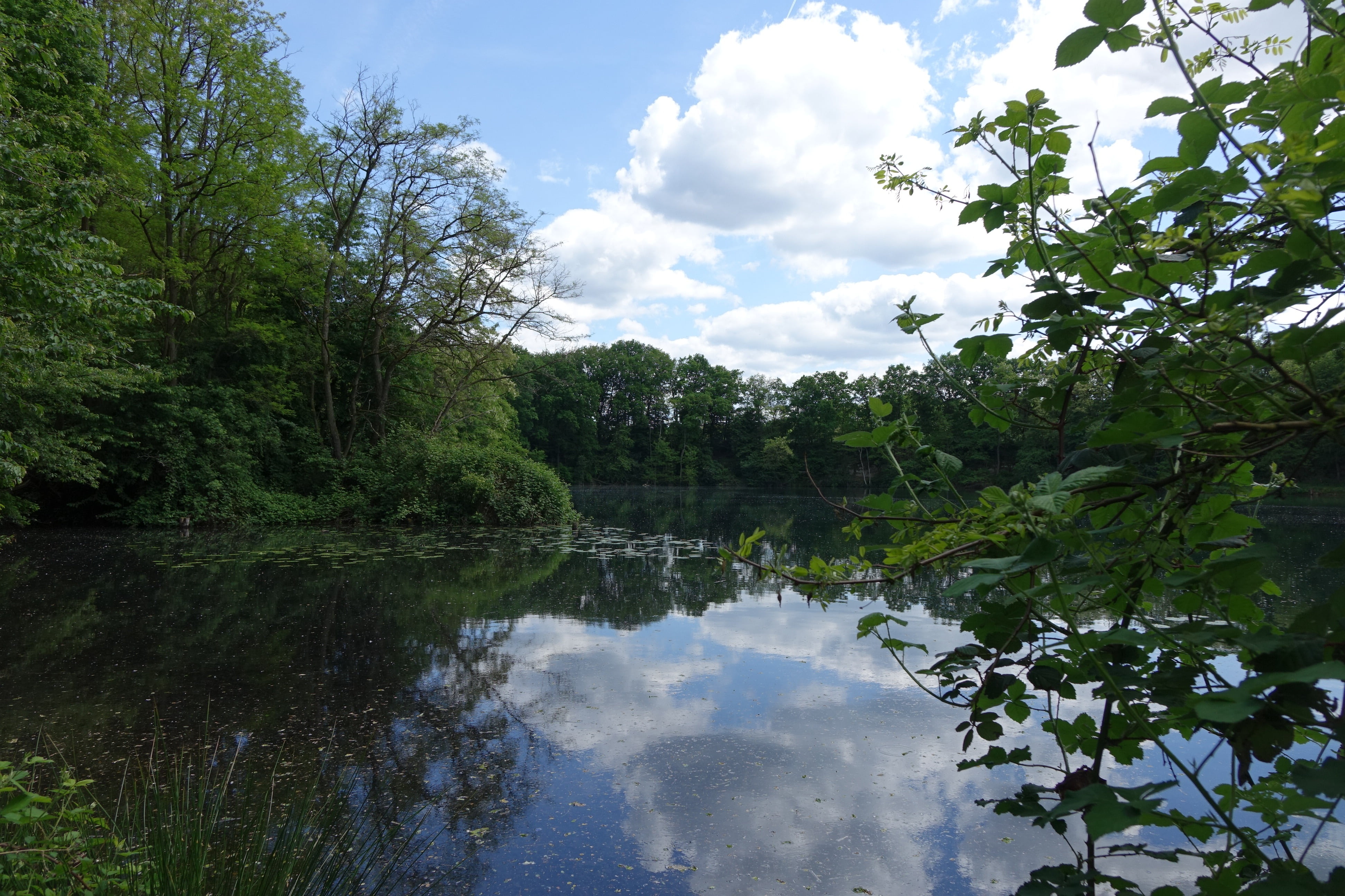 outdoors, cloud - sky, 4K, non-urban scene, nature, tranquility, tranquil scene, mühlheim, water, day, growth, beauty in nature, hesse, plant, summer, HD Wallpaper
