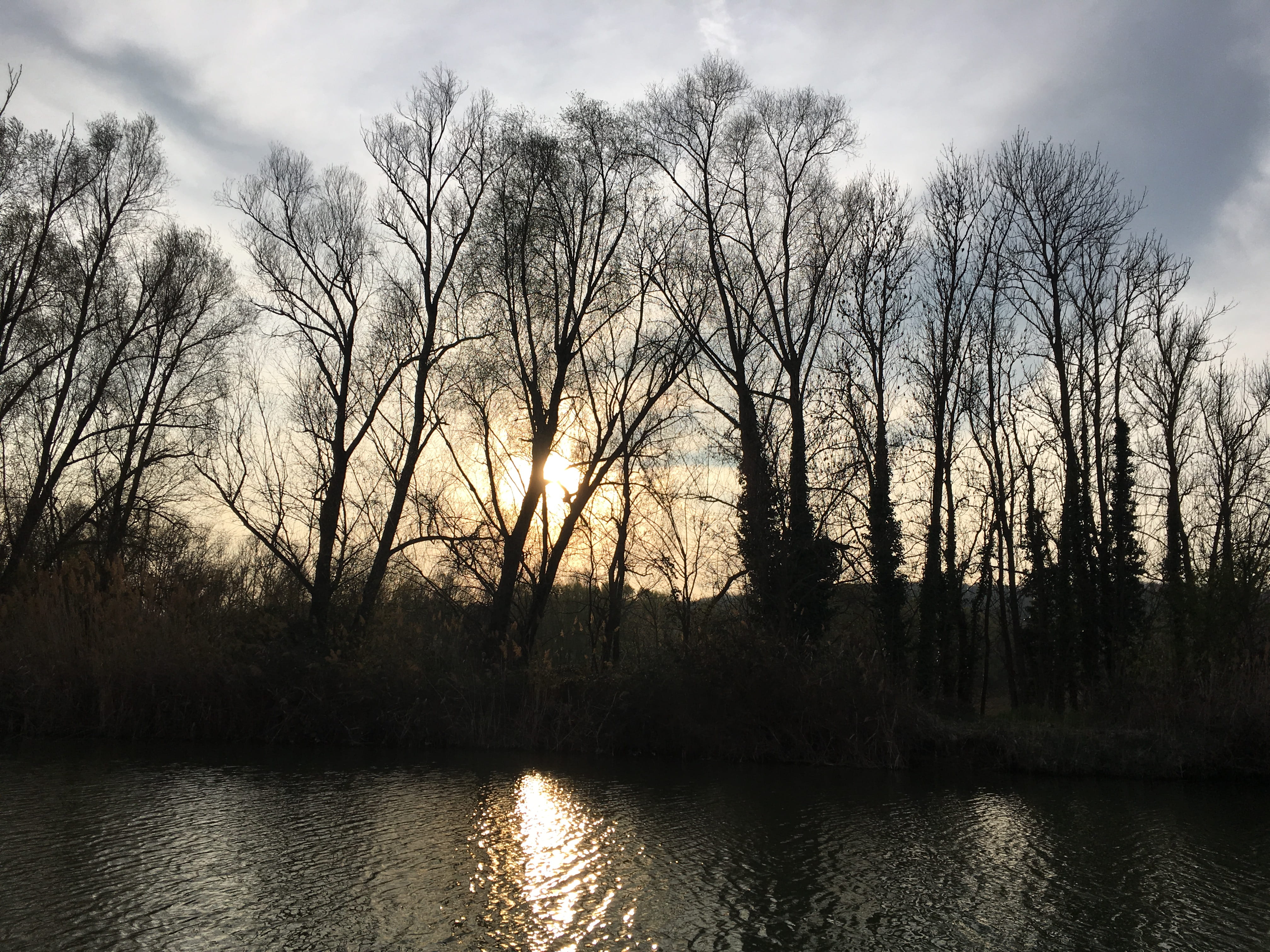 sunrise, waterfront, tree, weather, sky, land, france, ill canal, landscape, dusk, fog, red sky, non-urban scene, tranquil scene, mulhouse, reflection, HD Wallpaper