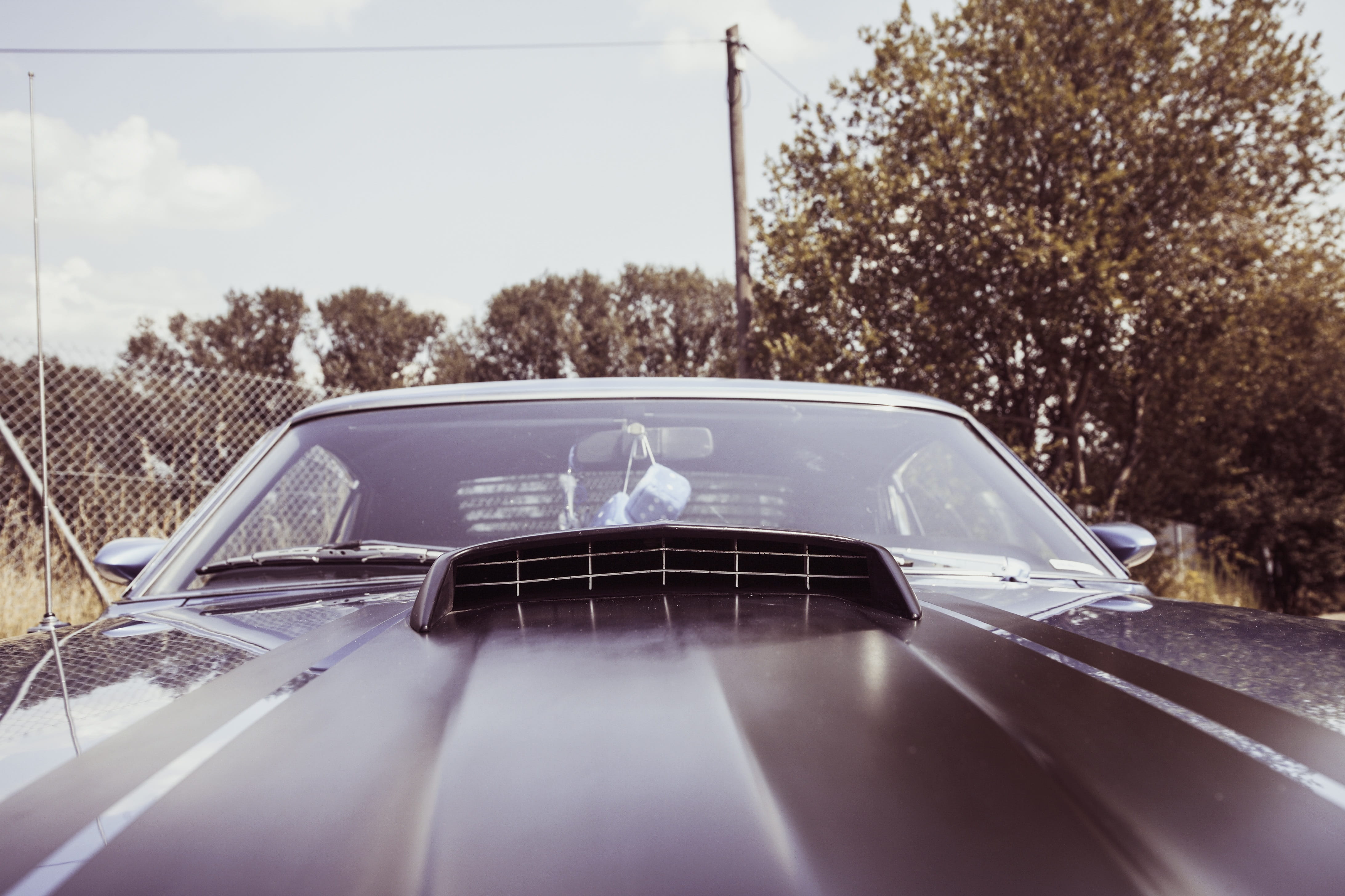 transparent, chrome, automotive, retro, muscle car, old car, us car, vintage, historically, 4K, windshield, tree, big block, car, car point of view, classic, HD Wallpaper