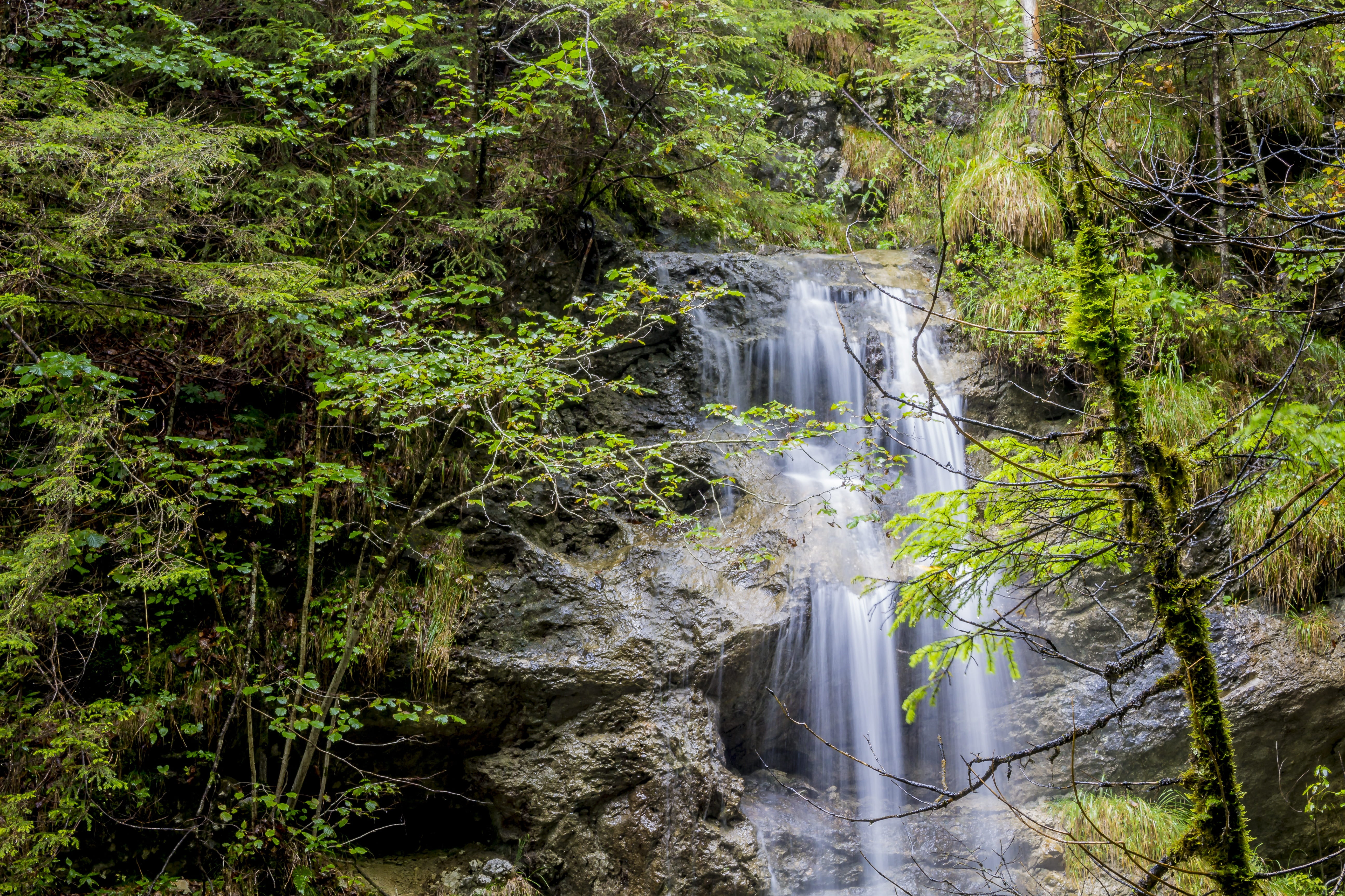 non-urban scene, water games, forest, wet leaves, waterfall, long exposure, no people, inject, bubble, flowing water, autumn, tree, background image, alpine, HD Wallpaper