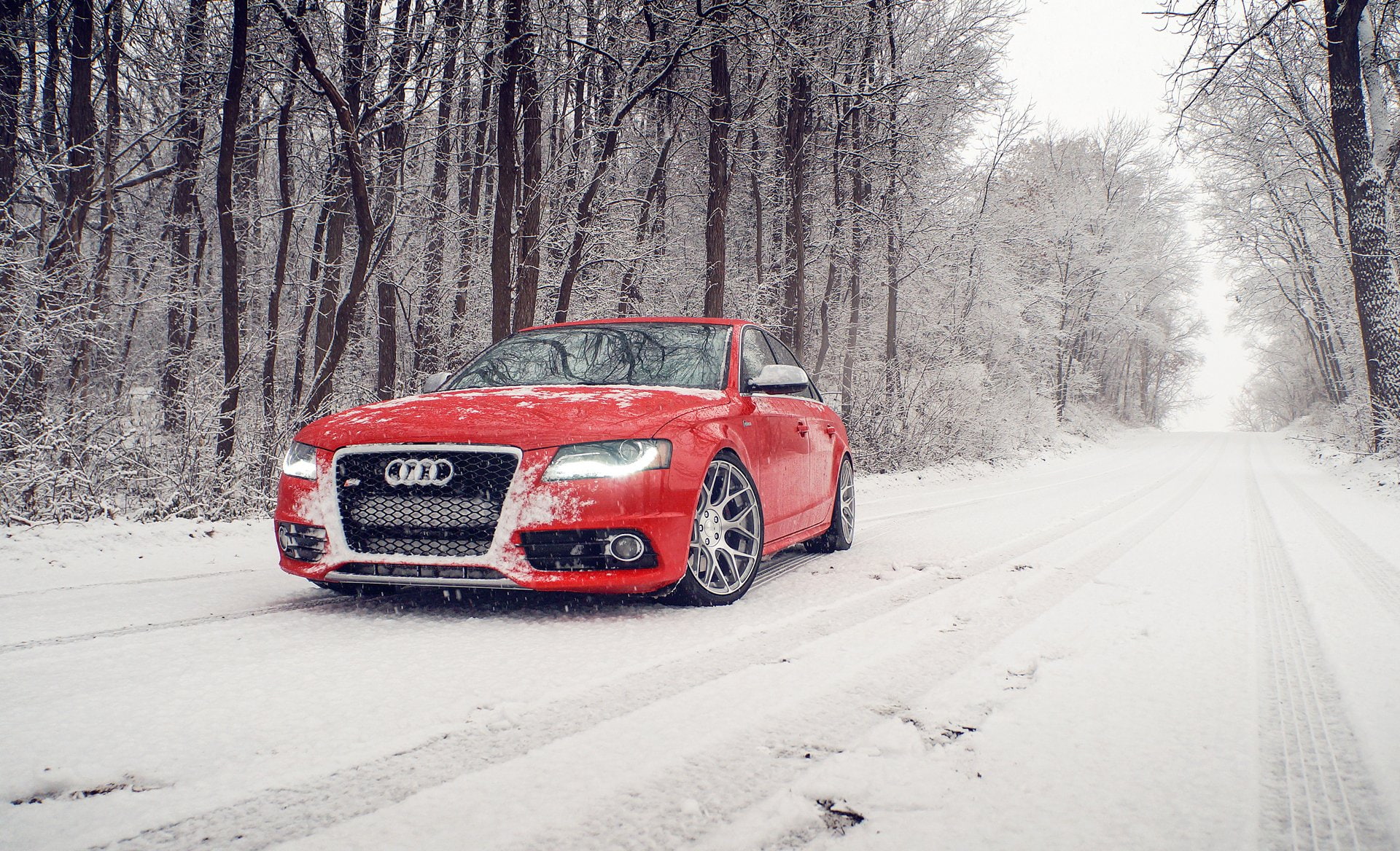 cold temperature, land, day, road, Luxury Car, 1080P, Audi S4, Audi, Winter, blizzard, no people, tree, plant, Vehicle, Snowfall, mode of transportation, HD Wallpaper