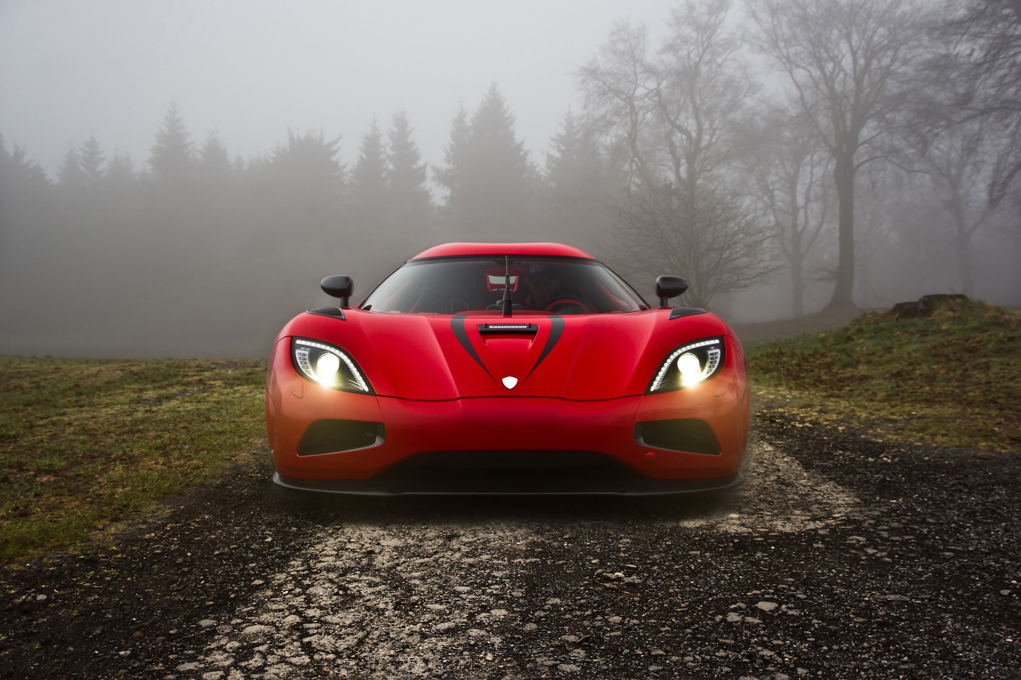 Swedish, forest, 1080P, Motors, Europe, Koenigsegg Agera, mist, car, HD Wallpaper
