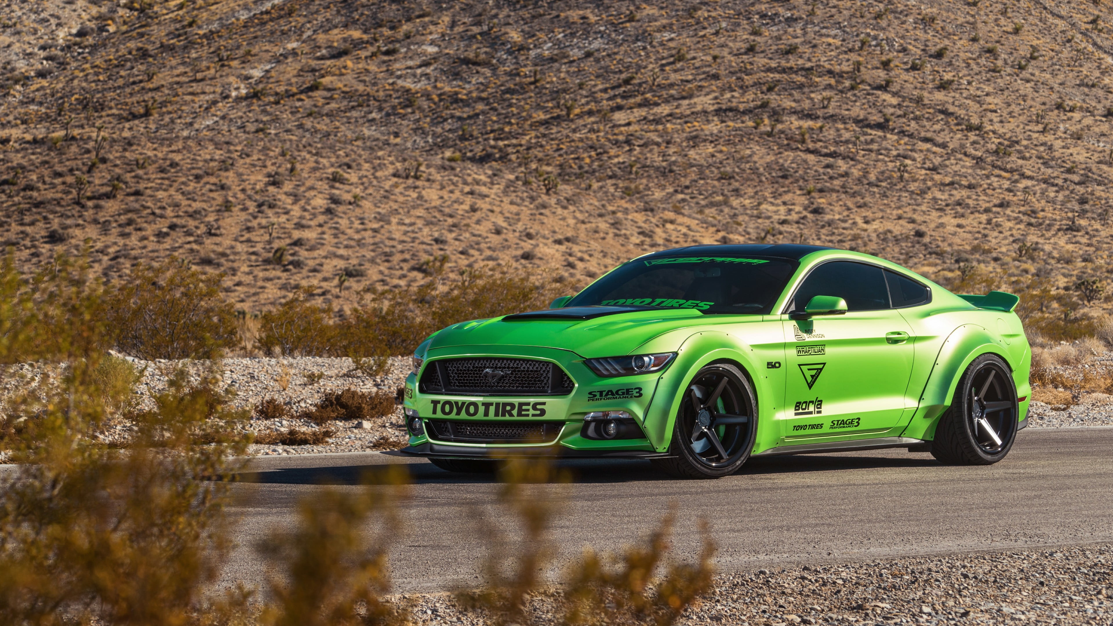 no people, green color, day, nature, ford mustang gt, road, sunlight, on the move, outdoors, motor vehicle, mode of transportation, plant, field, green car, HD Wallpaper