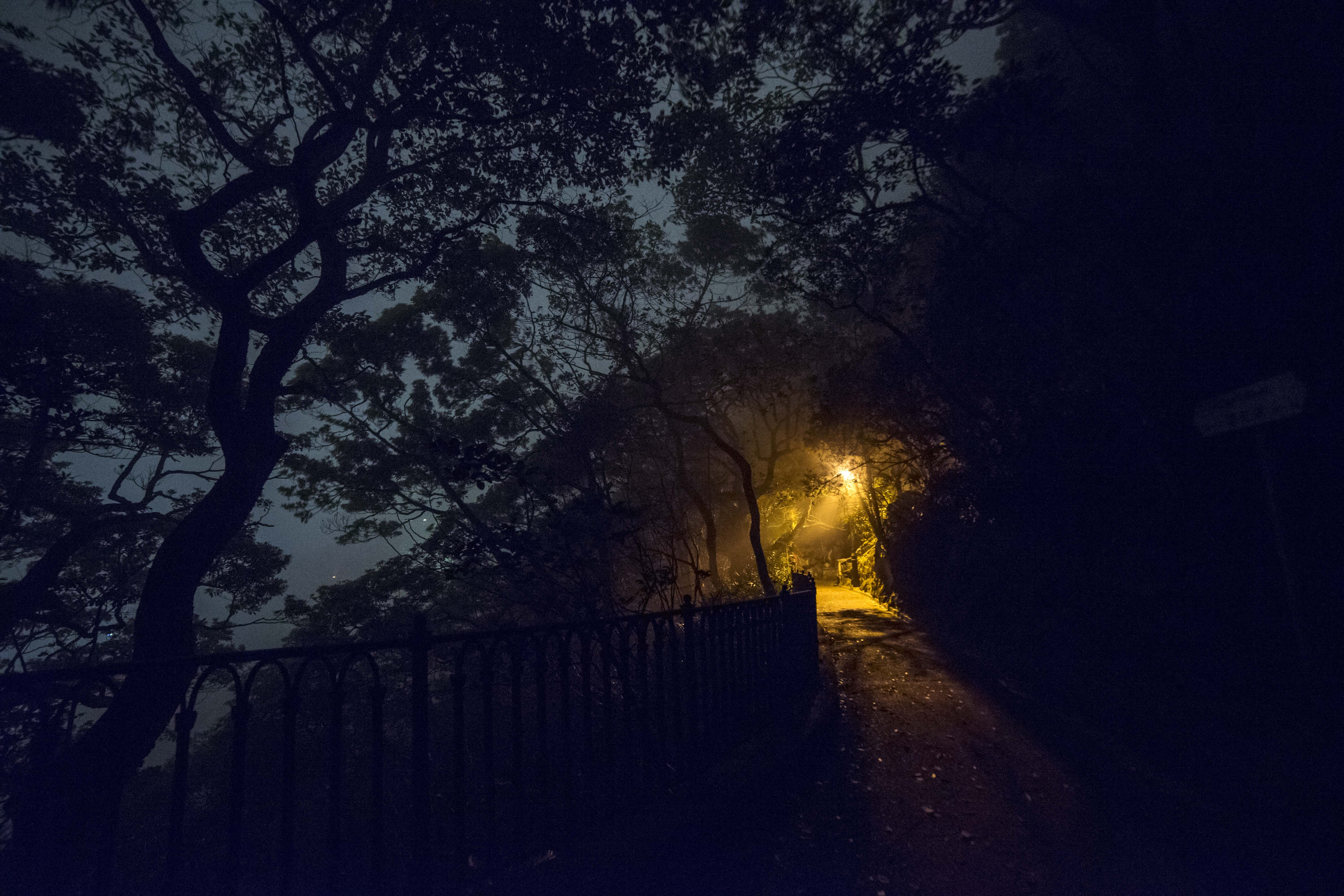 illuminated, no people, backlit, night, silhouette, hong kong, tranquility, tranquil scene, light, 5K, beauty in nature, dark, scenics - nature, trees, HD Wallpaper