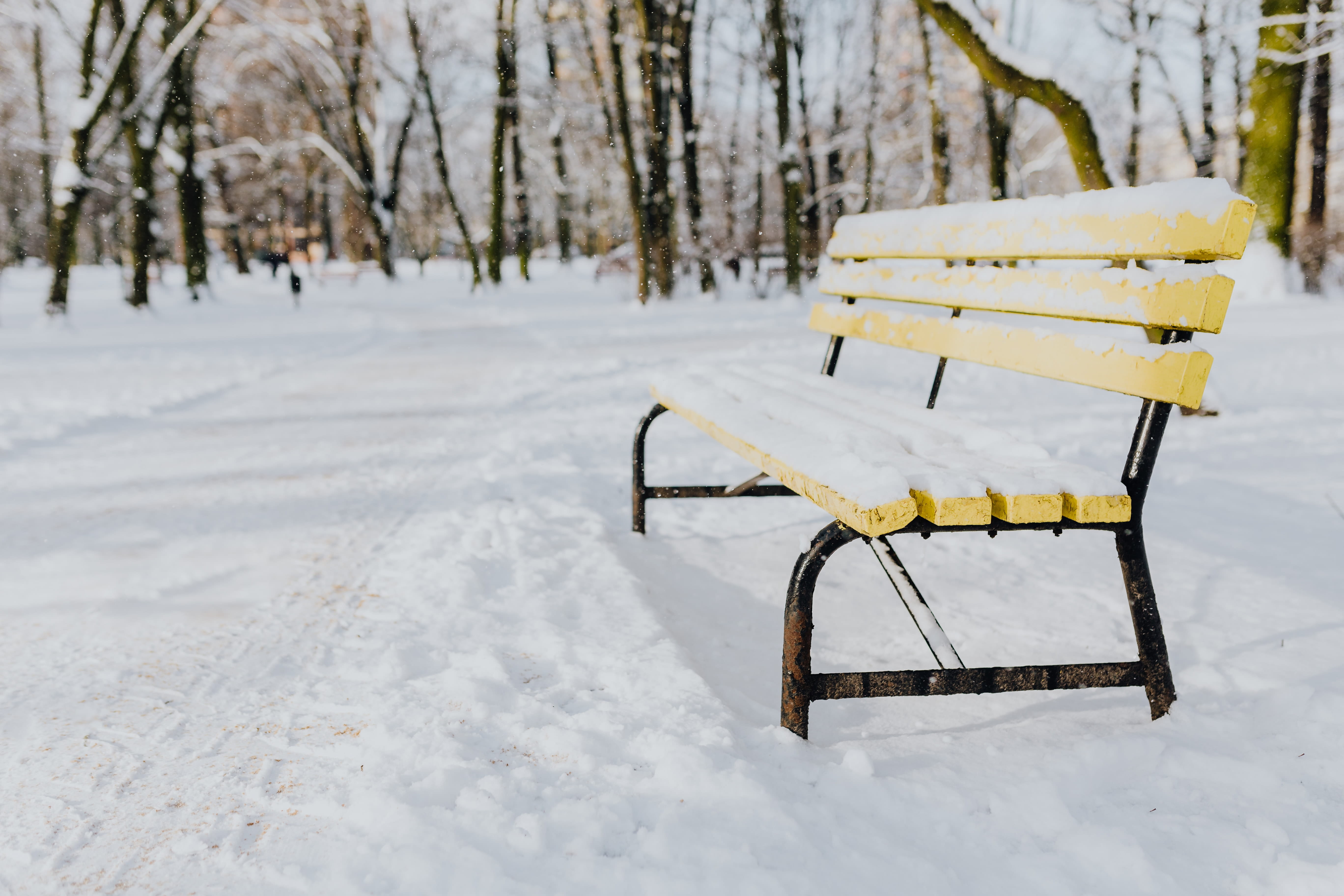 park, tranquility, wintery, snowcapped mountain, 5K, white color, outdoors, trees, winter, bench, nature, day, deep snow, outdoor, tree, no people, absence, HD Wallpaper