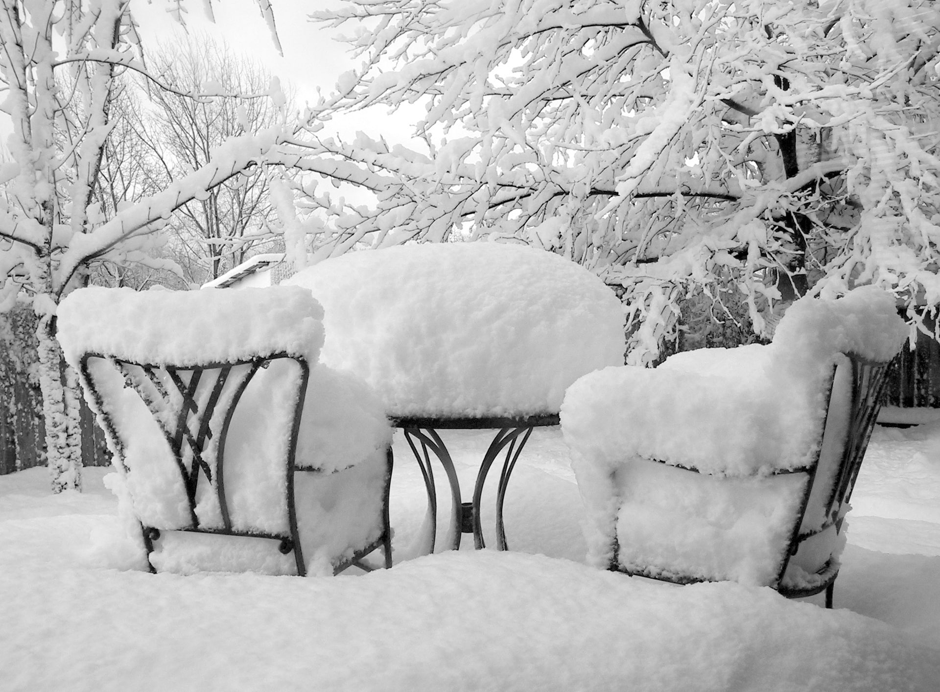 chairs, no people, Winter, Seasons, plant, Scenes, day, tranquil scene, snow, beauty in nature, 1080P, black, white color, land, table, covering, blizzard, HD Wallpaper