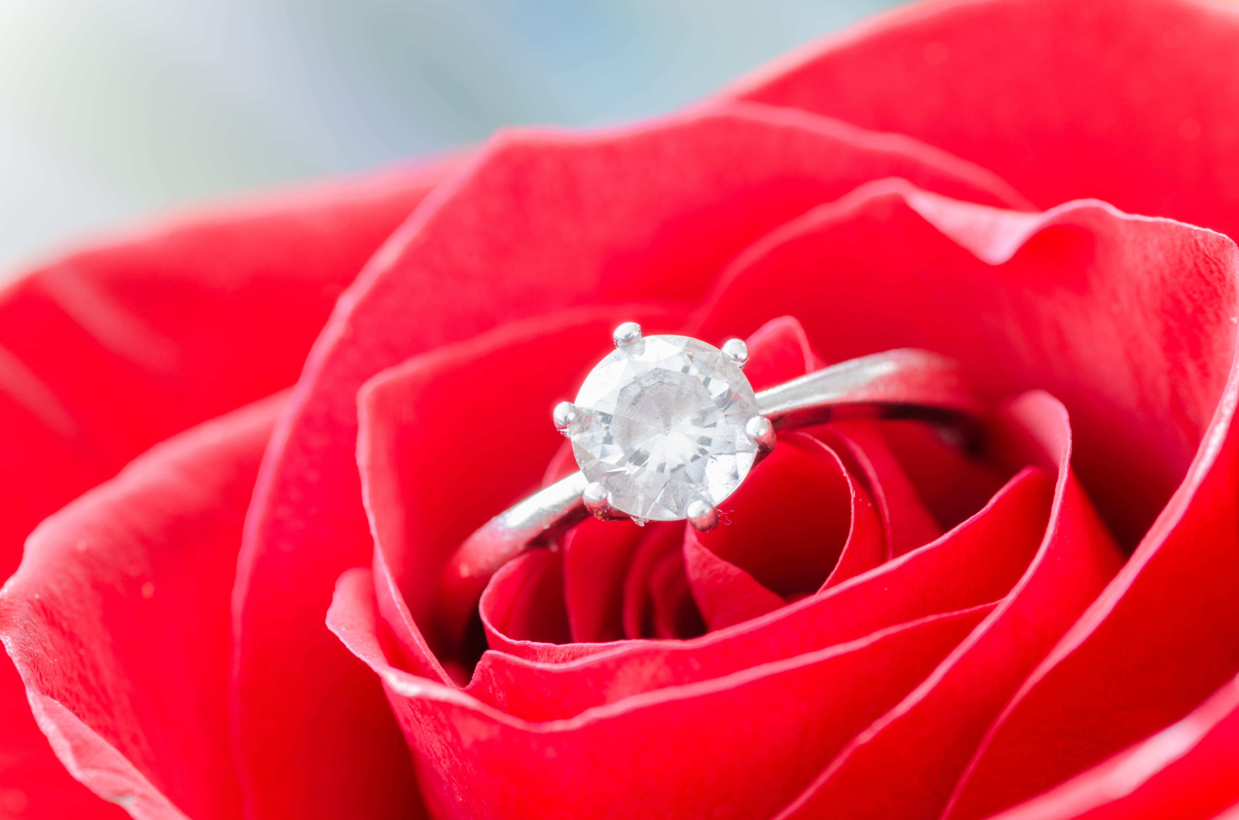 emotion, petals, rose, blooming, flower, macro, romantic, anniversary, ring, positive emotion, event, symbol, red, flora, beauty in nature, diamond - gemstone, HD Wallpaper