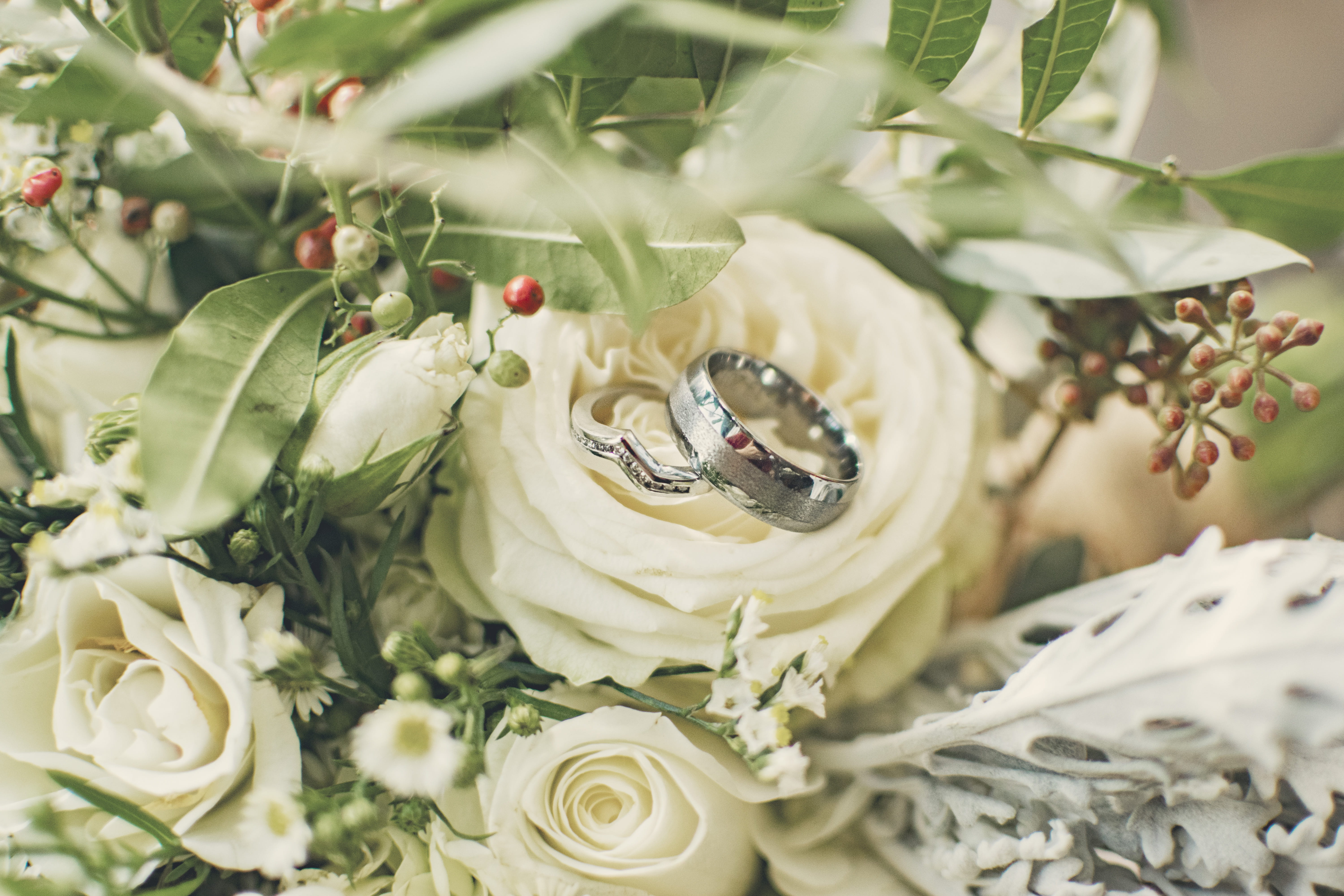 outdoors, flower bouquet, dessert, fruit, leaf, blueberry, jewelry, white, colored, ring, blossom, love, flower, animal themes, flowering plant, beauty in nature, HD Wallpaper