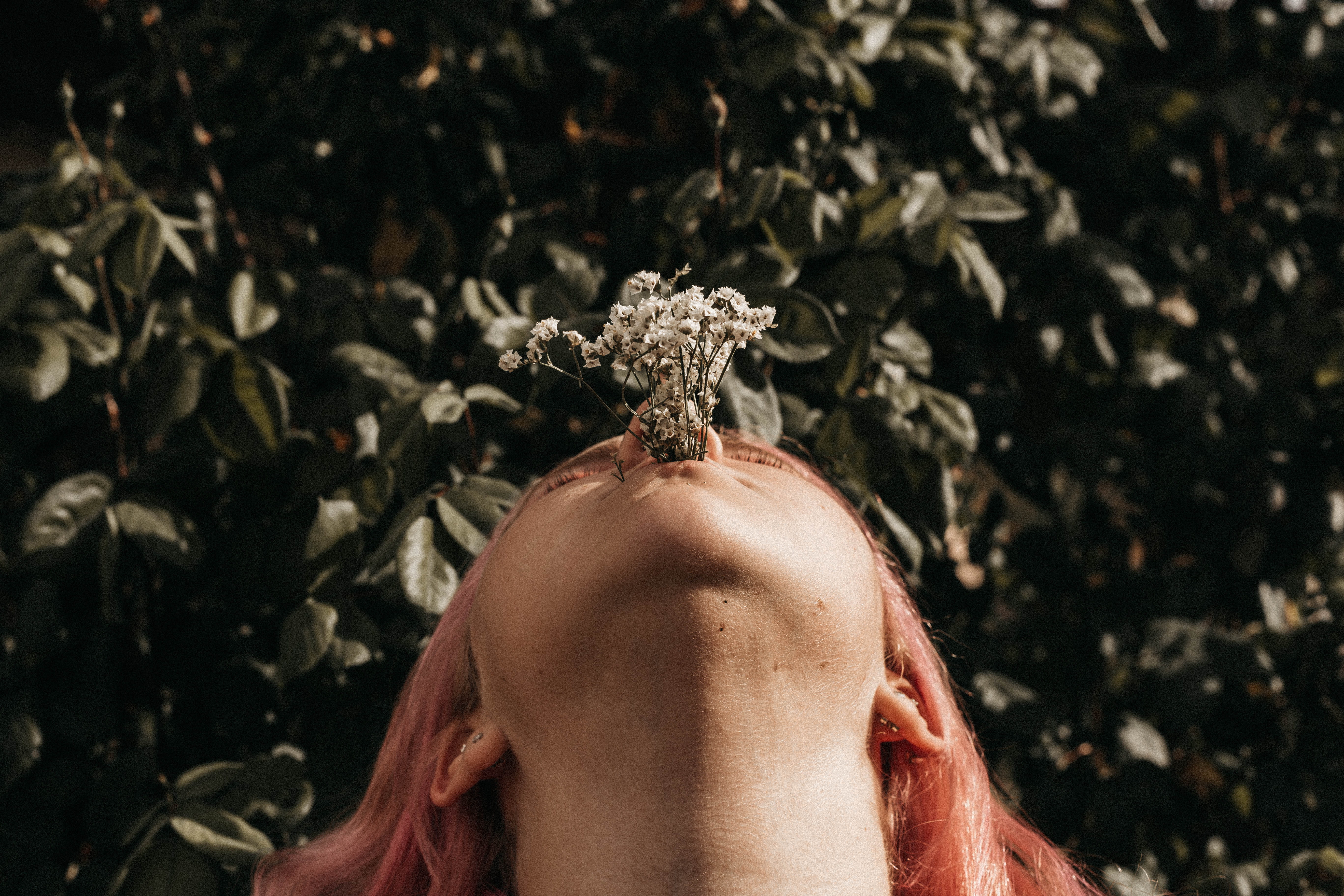 unrecognizable person, human, human body part, ear, real people, focus on foreground, dye, smelling, accessories, flower, personal perspective, blossom, HD Wallpaper