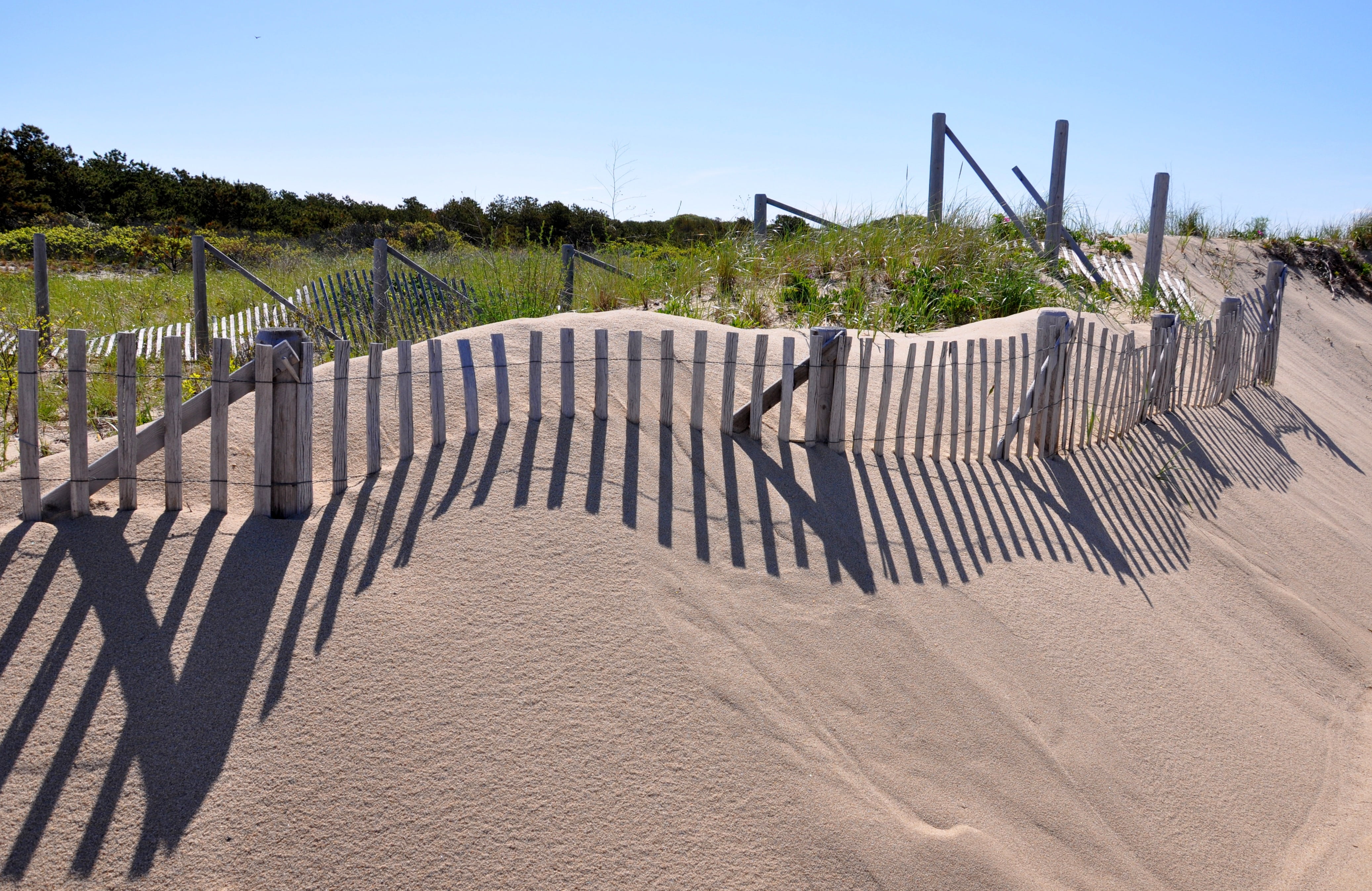sea, rural scene, idyllic, 4K, day, sky, landscape, sunny, calm, dune grass, provincetown, barrier, sand, resort, pretty, shadows, white, summer, fence patterns, HD Wallpaper