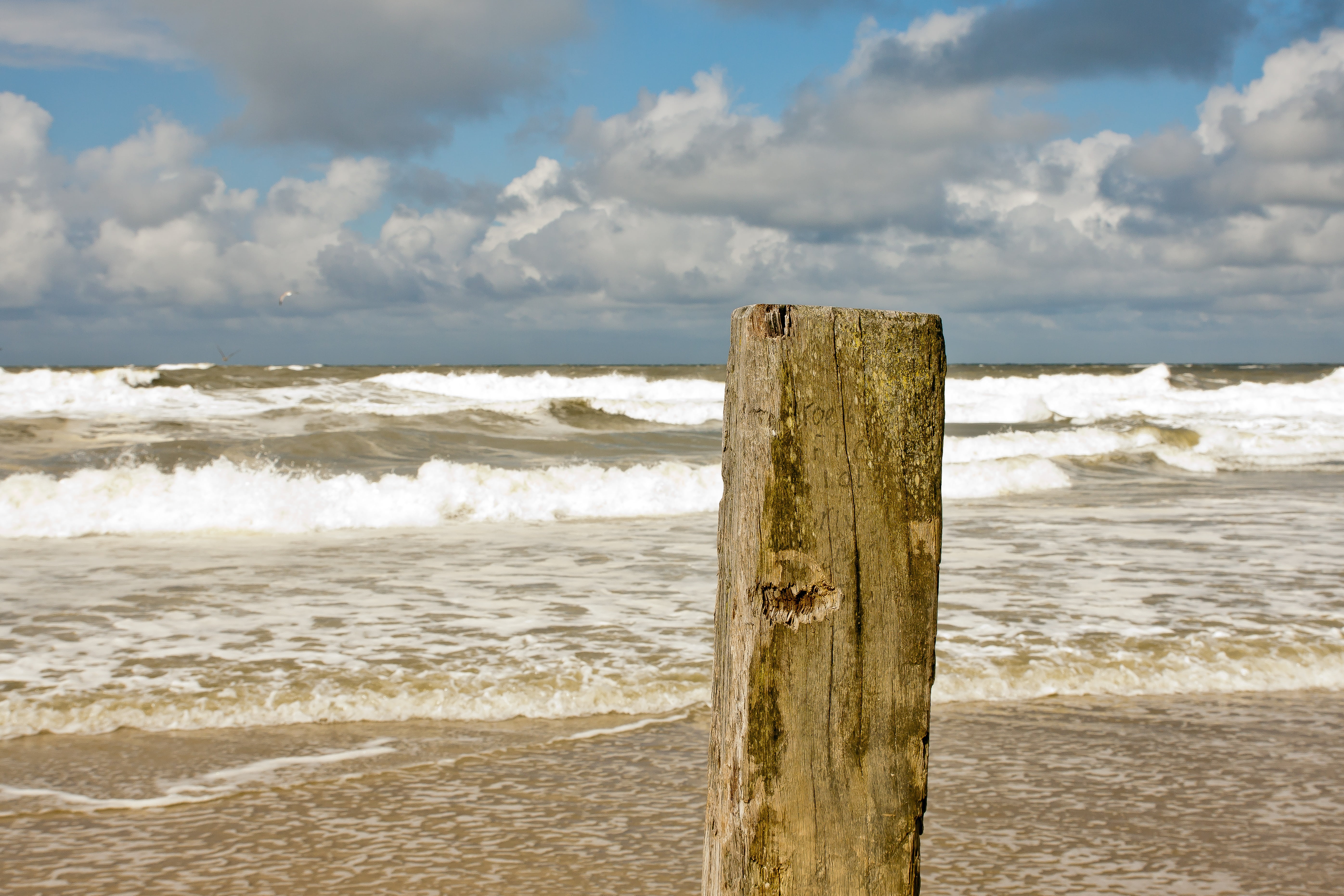 spray, beauty in nature, sea, holland, scenics - nature, water, by the sea, ocean, wooden post, nature, post, coastline, paal, summer, dunes, land, 5K, HD Wallpaper