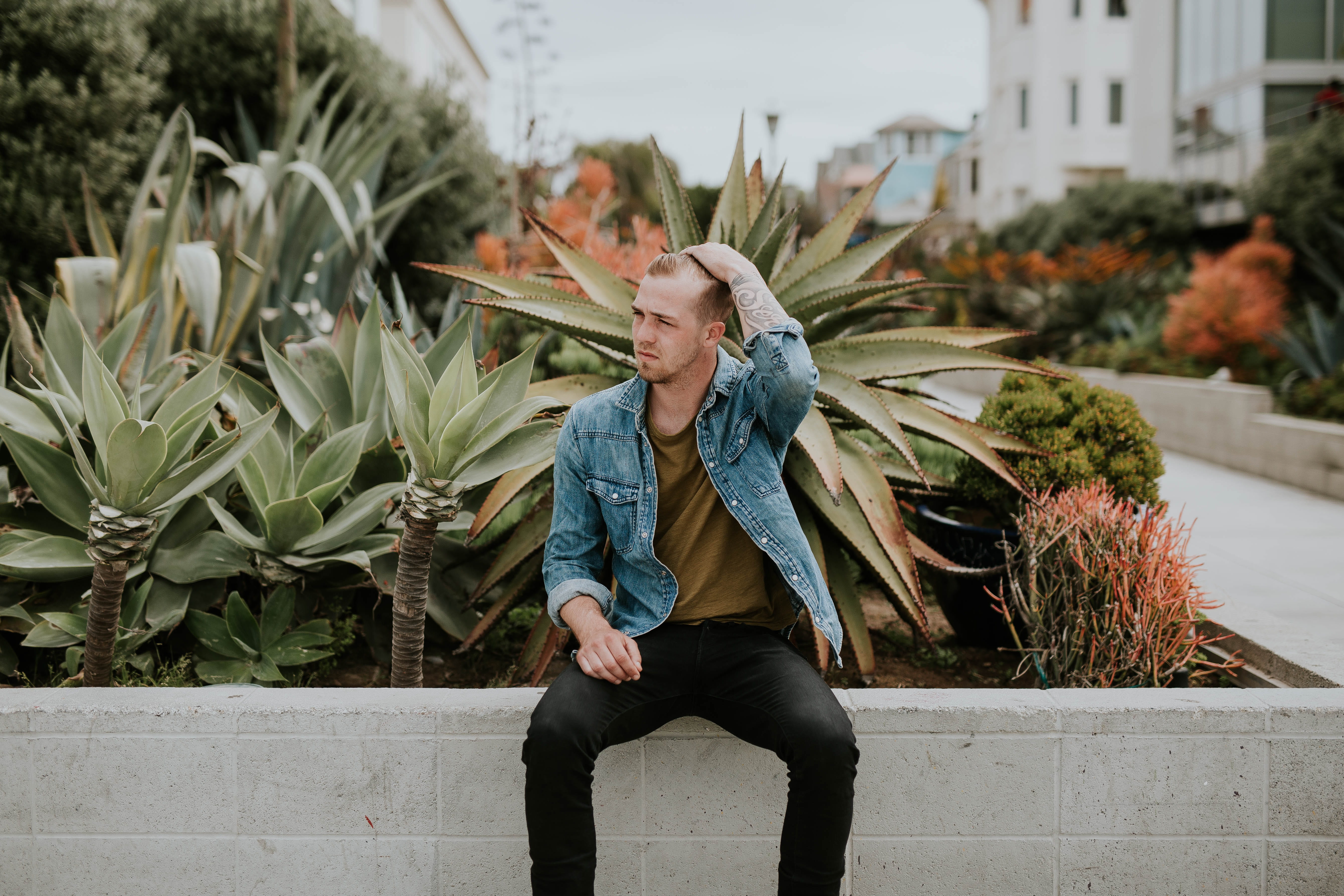 full length, 5K, nature, built structure, young adult, plants, los angelos, fashion, one person, plant, day, succulents, los angeles, architecture, real people, HD Wallpaper