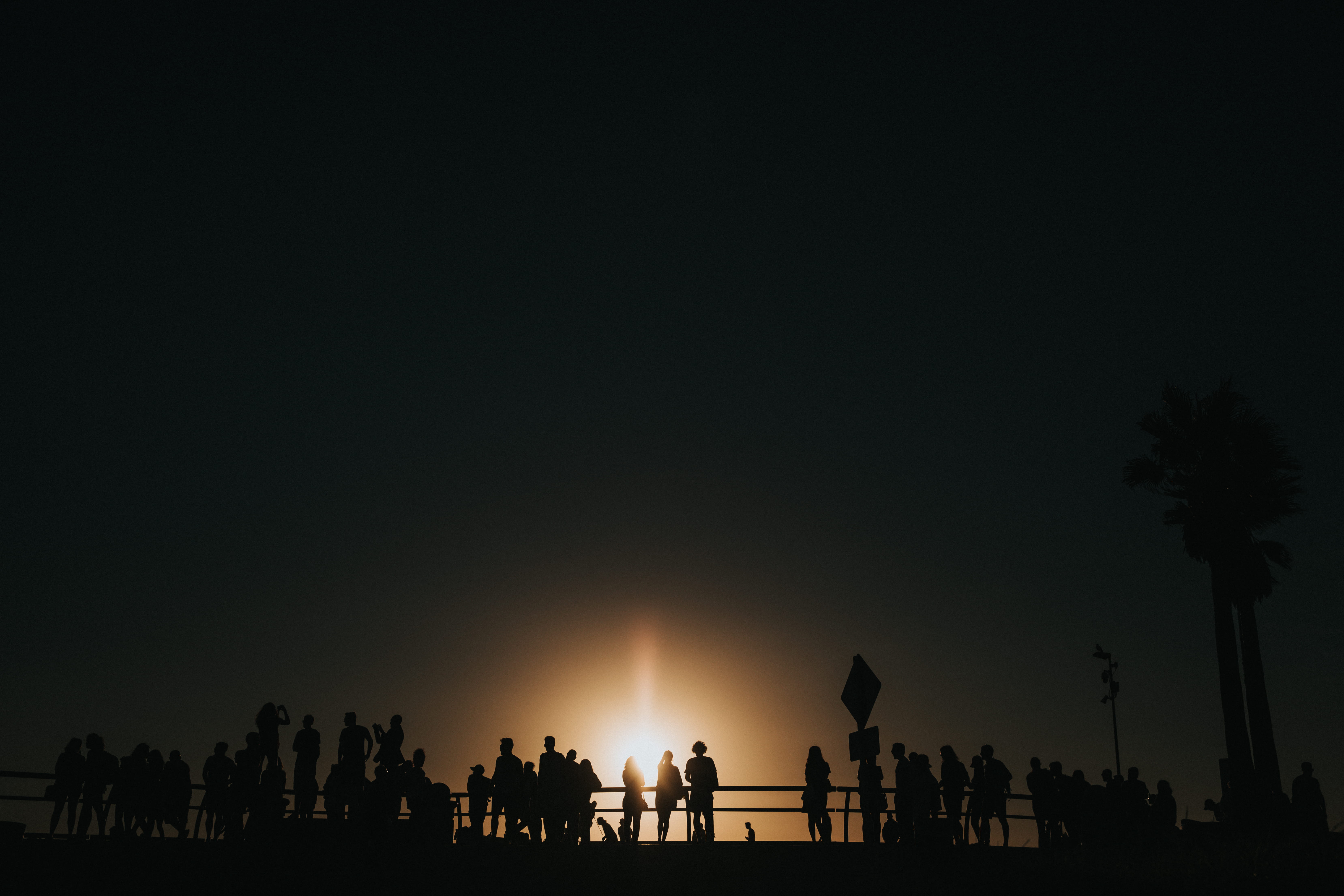 group of people, sunny, los angeles, la, beauty in nature, sea, skate or die, 5K, dusk, people, copy space, sunset, nature, sky, city, tree, vignette, HD Wallpaper