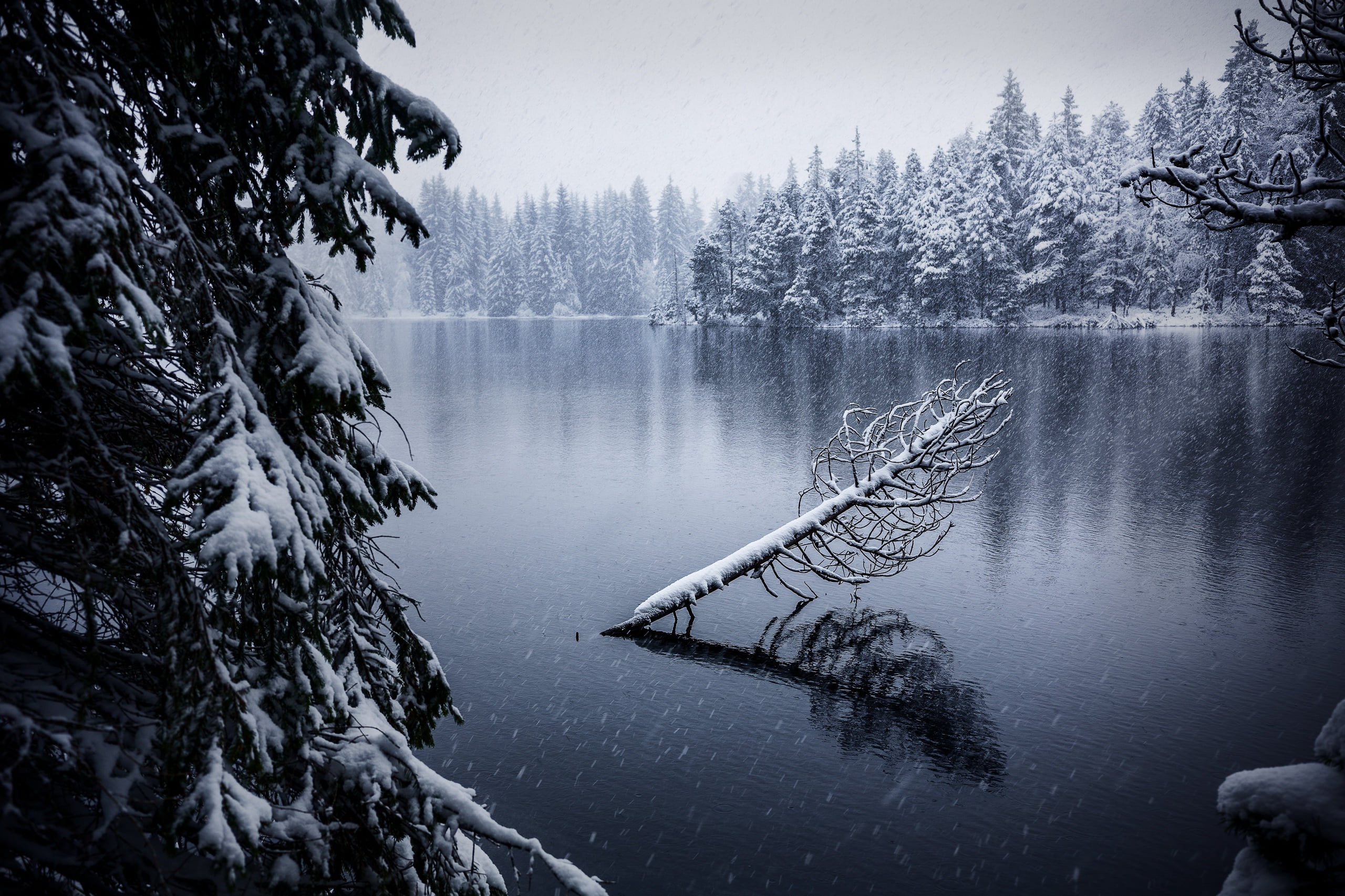 sky, reflection, non-urban scene, water, waterfront, plant, Switzerland, tranquility, winter, outdoors, cold temperature, body, day, tranquil scene, tree, HD Wallpaper