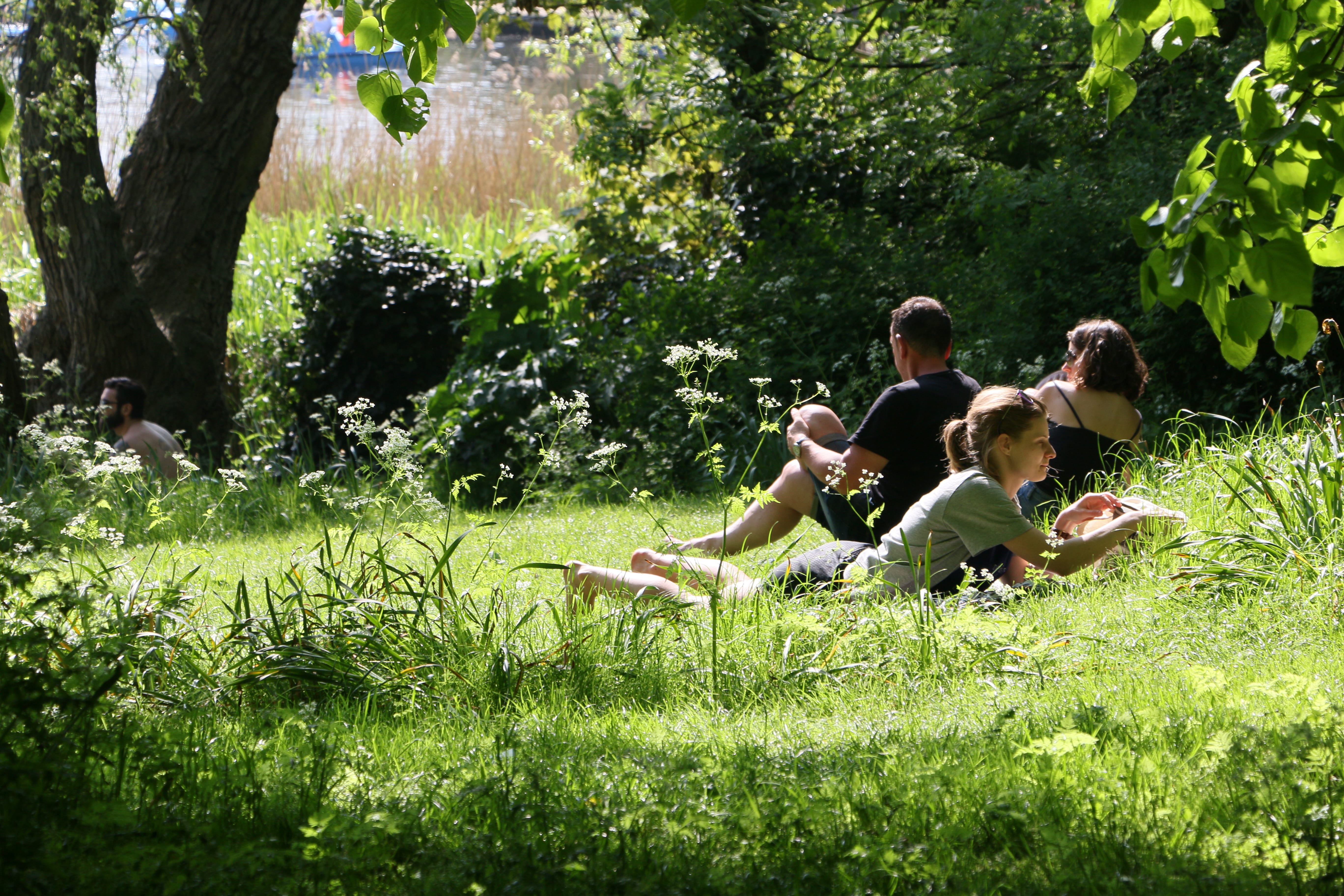 adult, green color, growth, 5K, men, london, positive emotion, peaceful, togetherness, grass, people, group of people, lifestyles, real people, day, united kingdom, HD Wallpaper