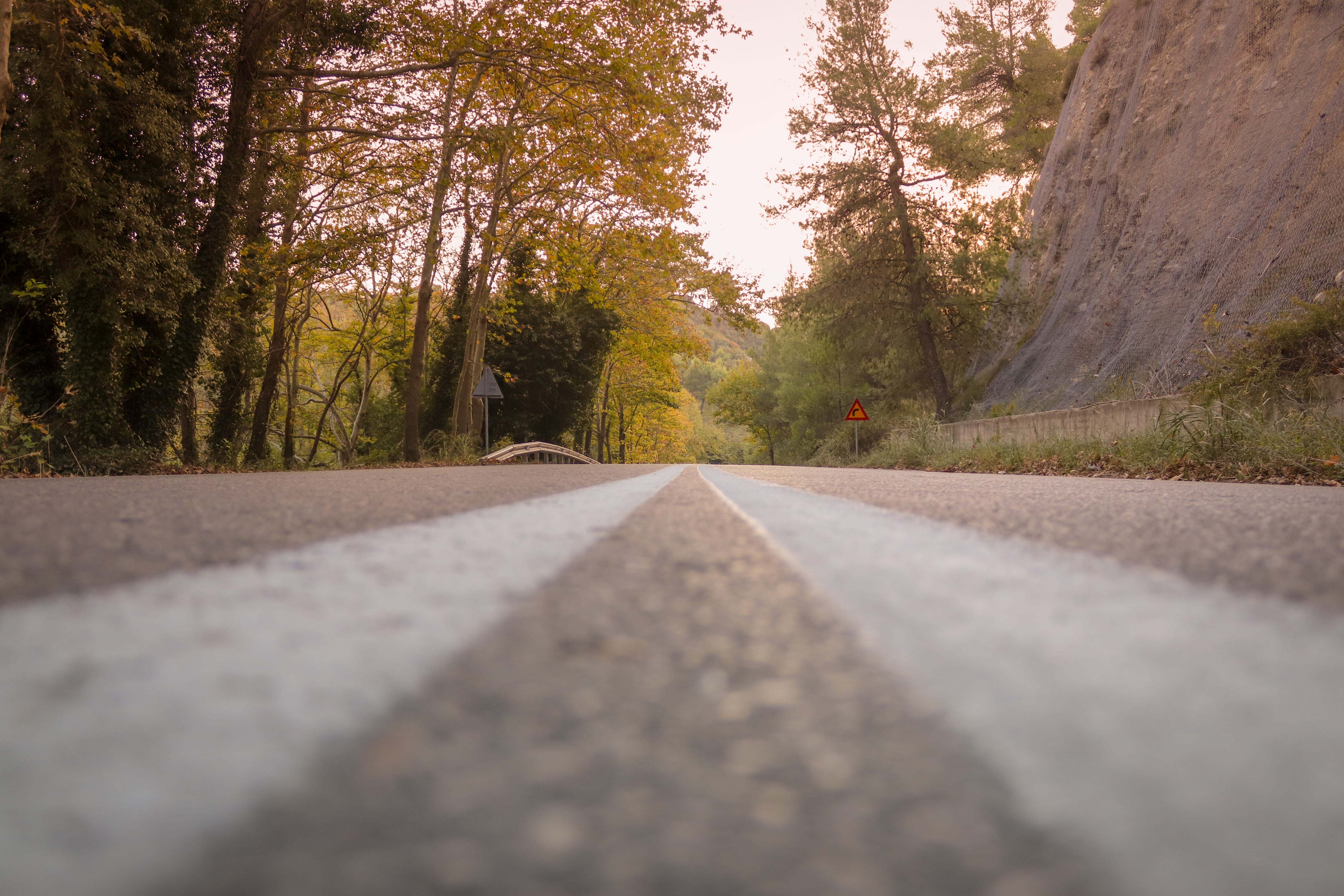 marking, way, surface level, fir, tree trunk, dividing line, empty road, the way forward, outdoors, gray, lines, tranquility, green color, gravel, road, HD Wallpaper