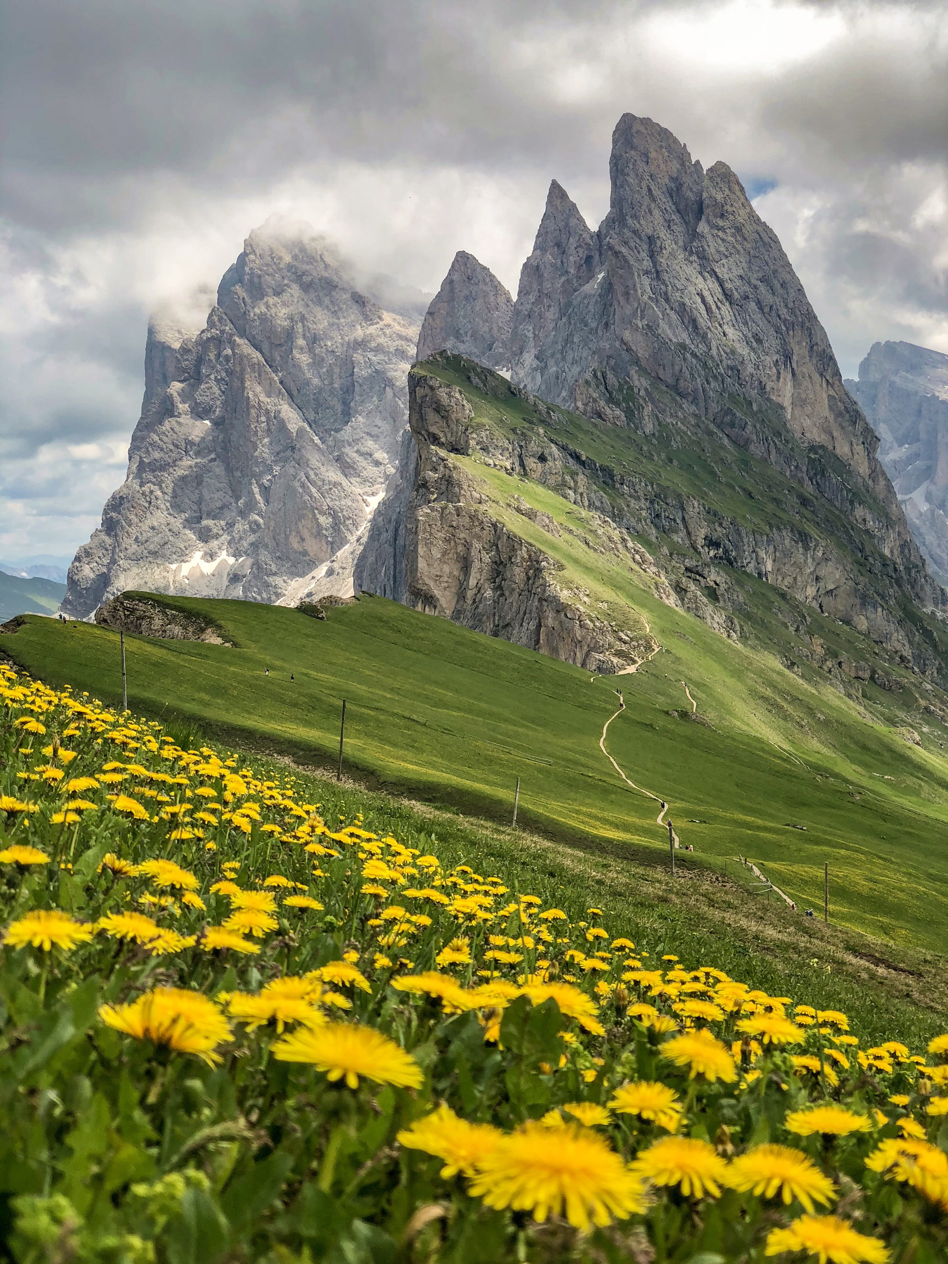 day, earth, nature, springtime, yellow, sky, green, summer, flowering plant, dramatic, mountain range, misty, formation, mist, environment, Phone HD Wallpaper