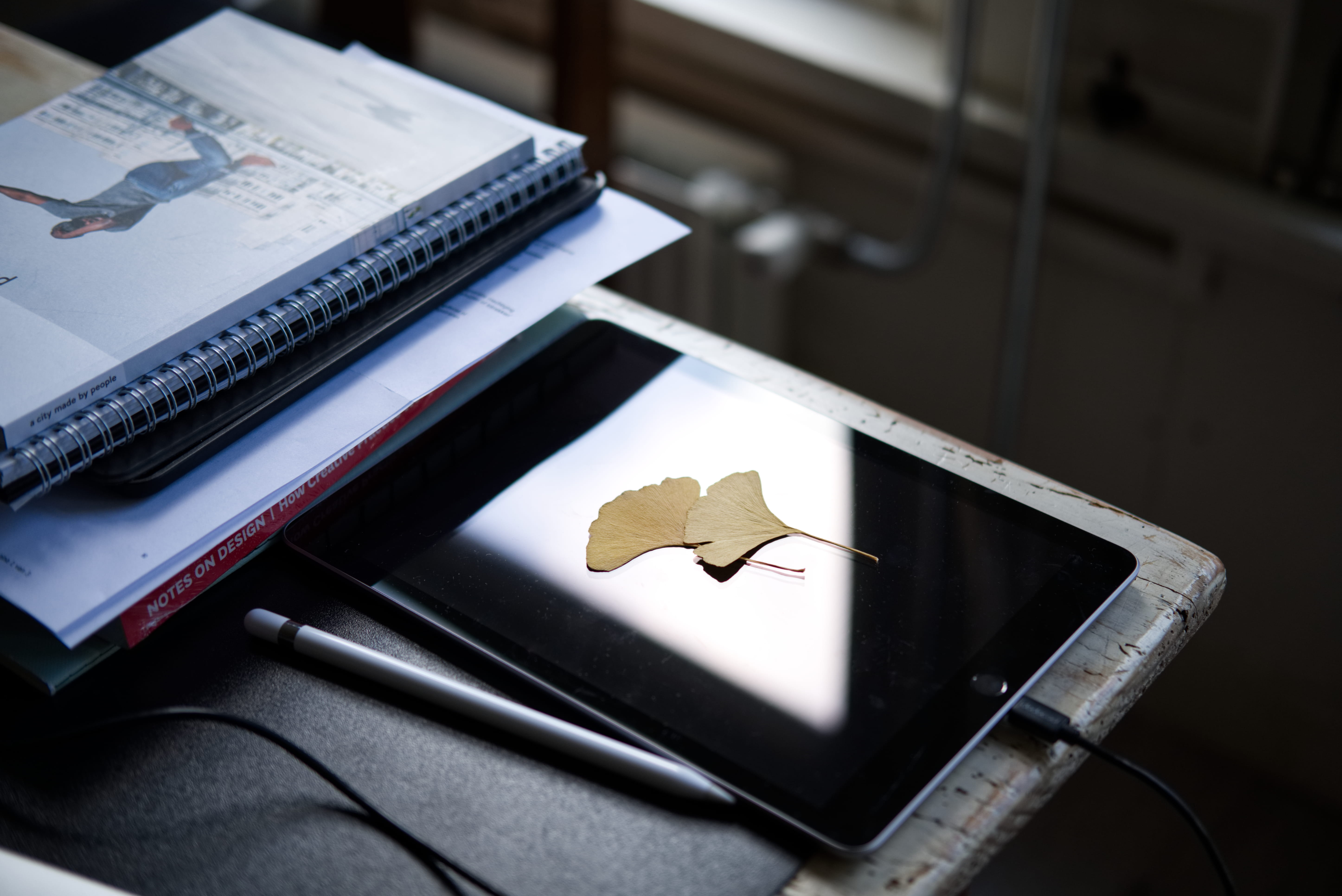 reflection, digital, 5K, document, leaf, paper, table, lance, note Pad, equipment, close-up, office, computer, no People, apple, business, drawing, HD Wallpaper