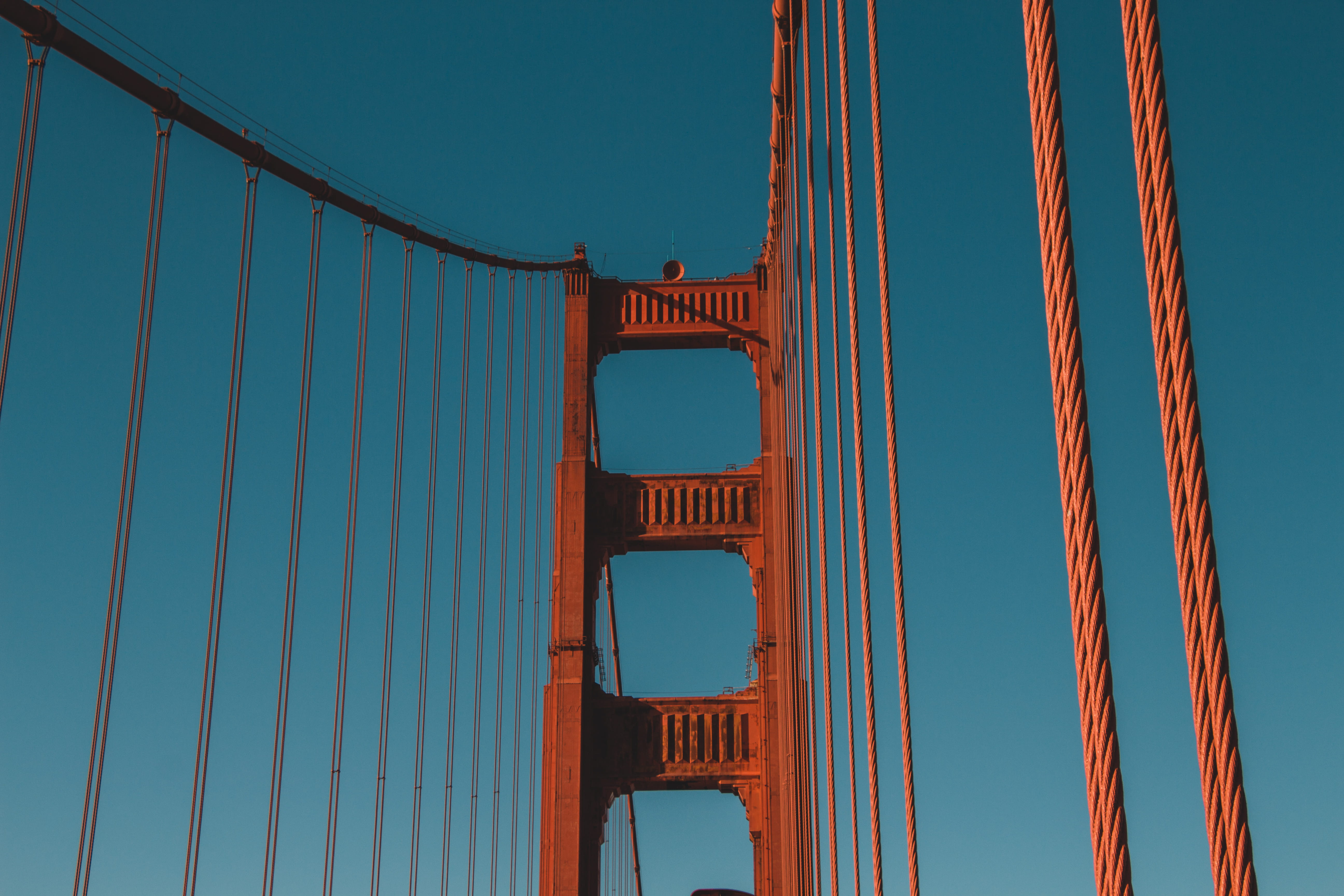 urban, metal, red, rustic, cable, 5K, low angle view, san francisco, golden gate bridge, california, banister, teal, exterior, steel cable, sanfrancisco, HD Wallpaper