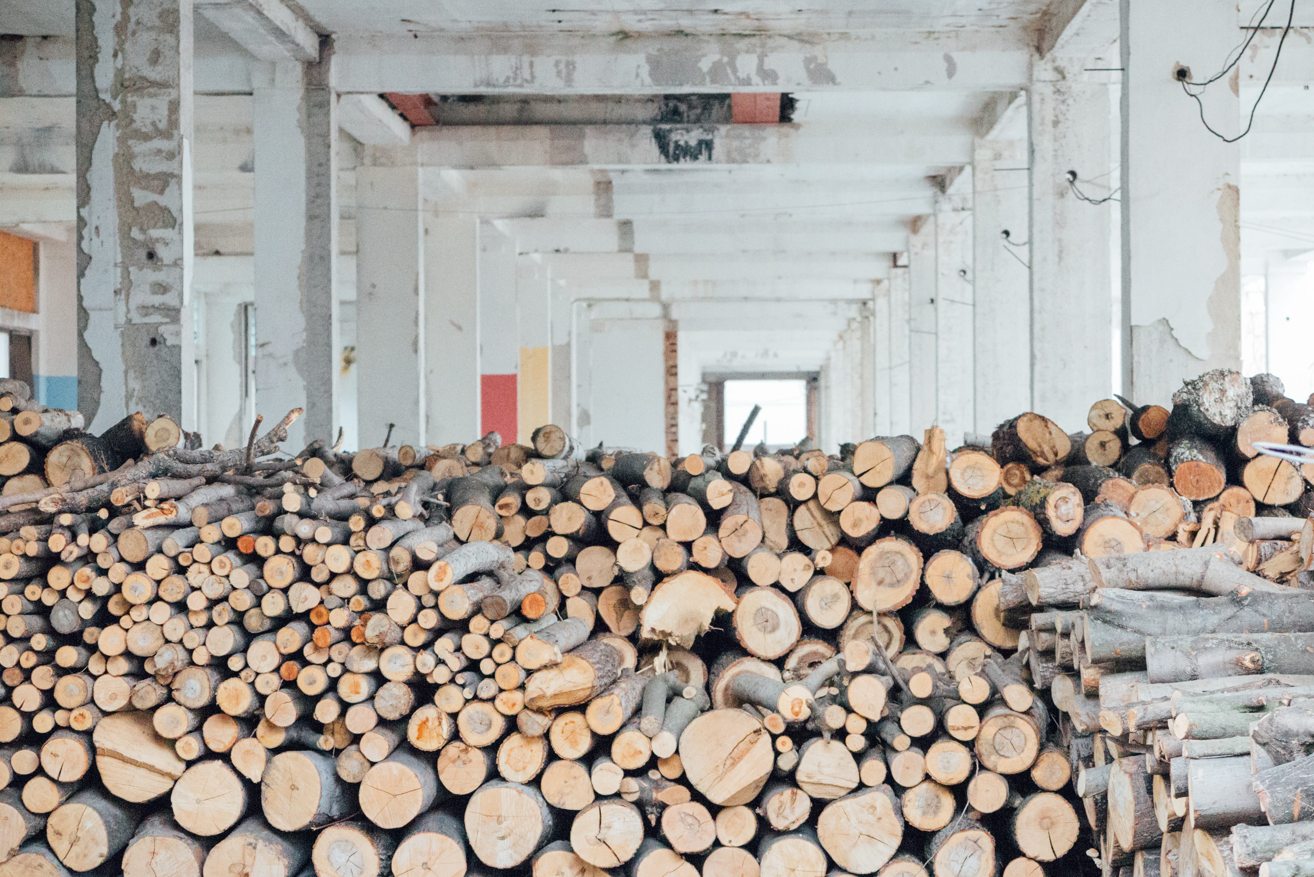 abundance, deforestation, lumber industry, czechia, abandoned, urbex, forest, trees, firewood, stack, fossil fuel, architecture, industrial, wood - material, HD Wallpaper