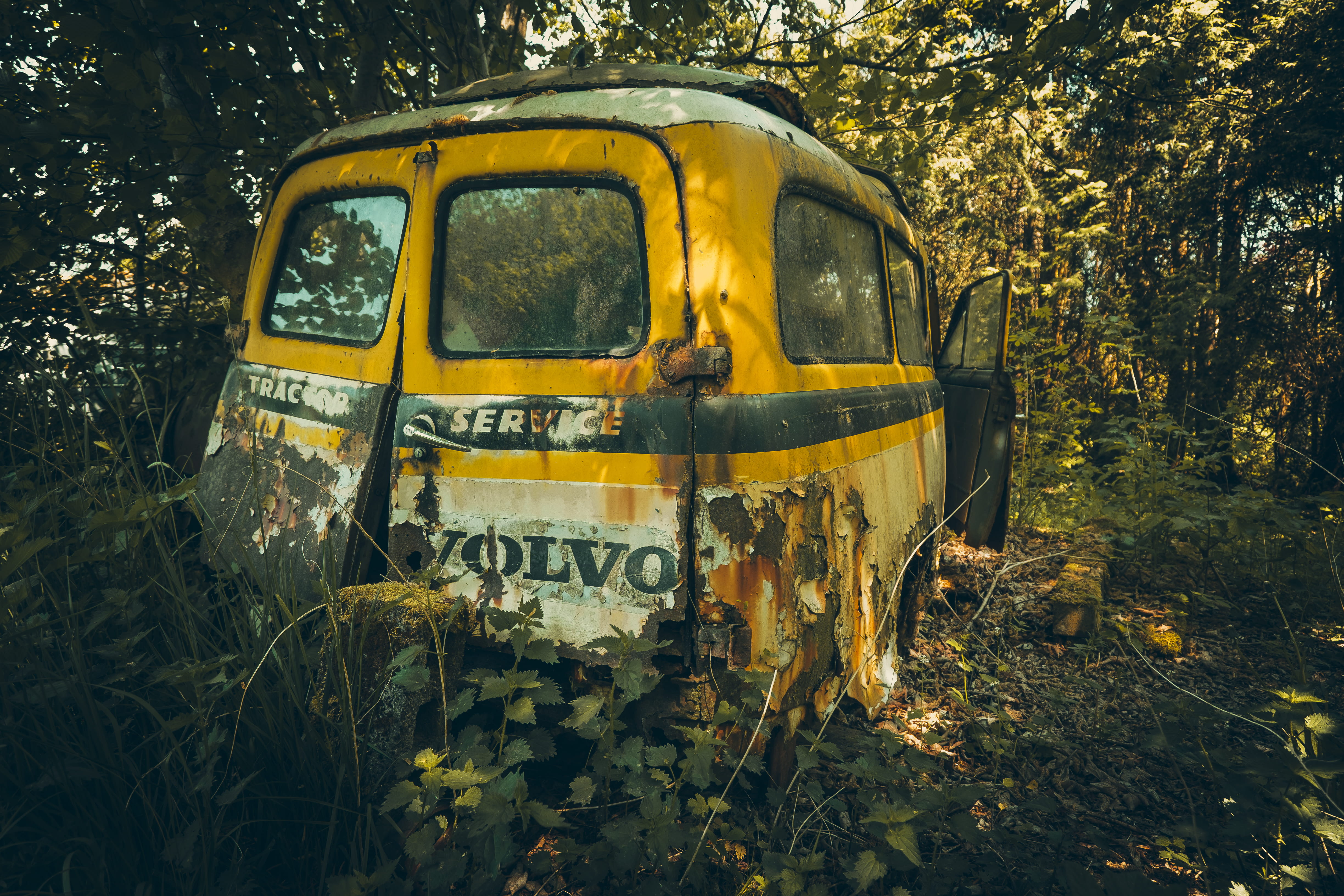 motor vehicle, old, nature, amazing, no people, lost, obsolete, fuji, offroad, school bus, yellow, plant, bus, taxi, green, mode of transportation, train, HD Wallpaper