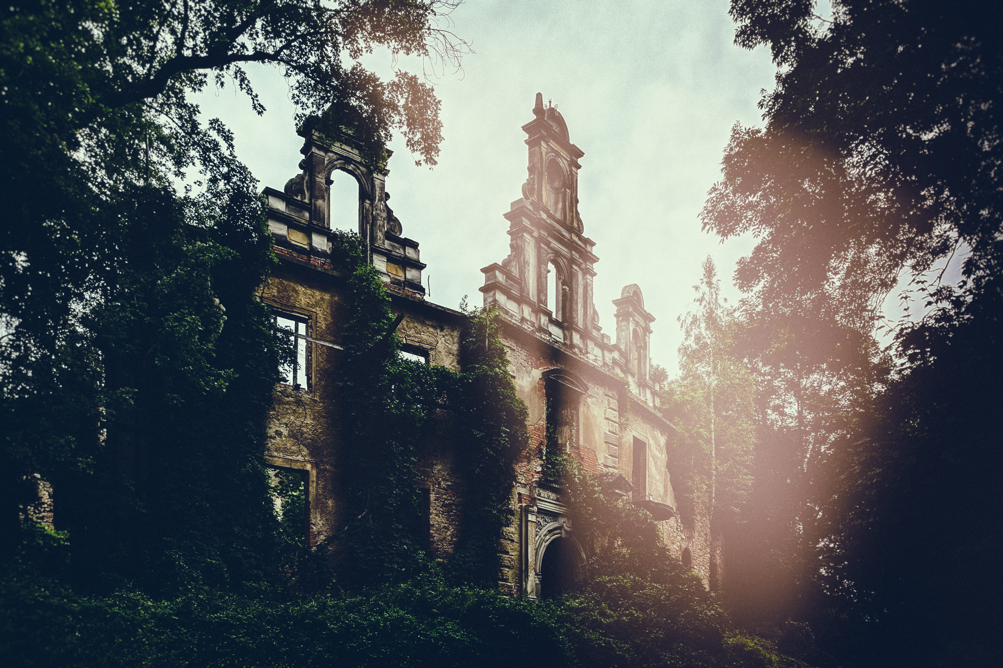 polska, old, low angle view, beautiful, vines, pożarzysko, trees, religion, ruin, sky, fancy, plant, abandoned, spirituality, architecture, building, building exterior, HD Wallpaper