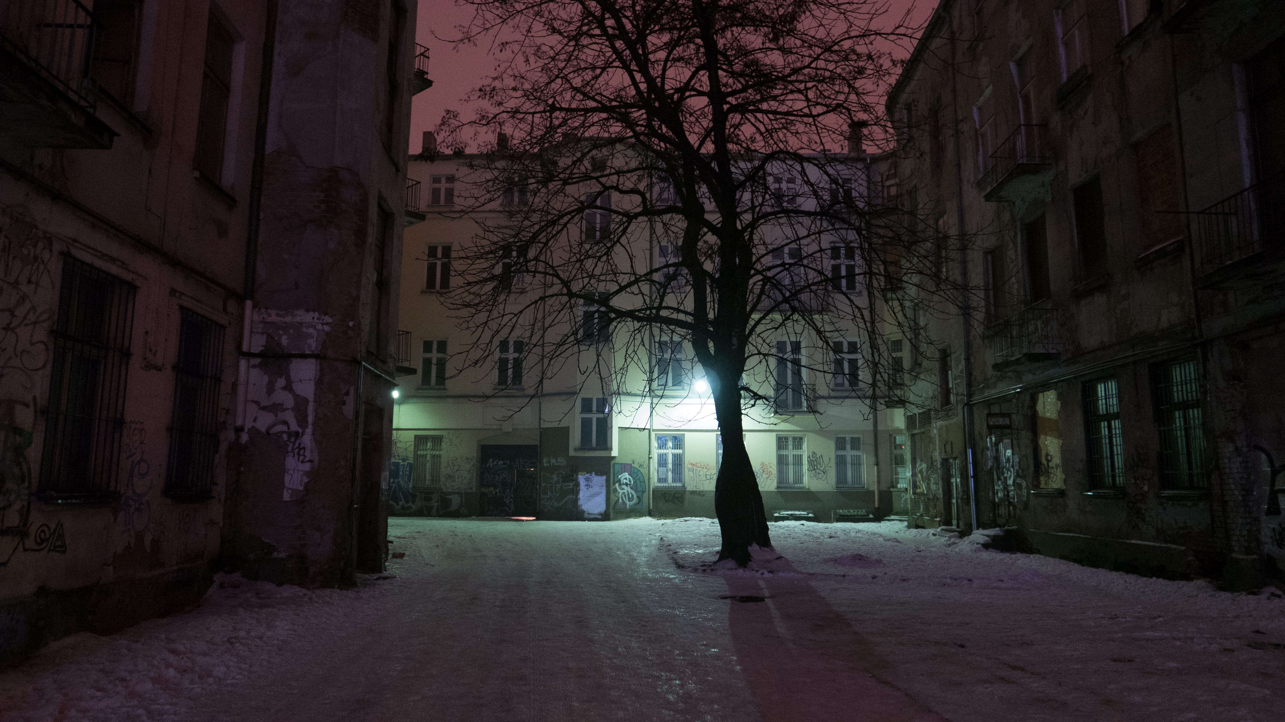 poland, tree, outdoors, city, nature, illuminated, bare tree, night, direction, łódź, lifestyles, built structure, alley, building, architecture, house, HD Wallpaper