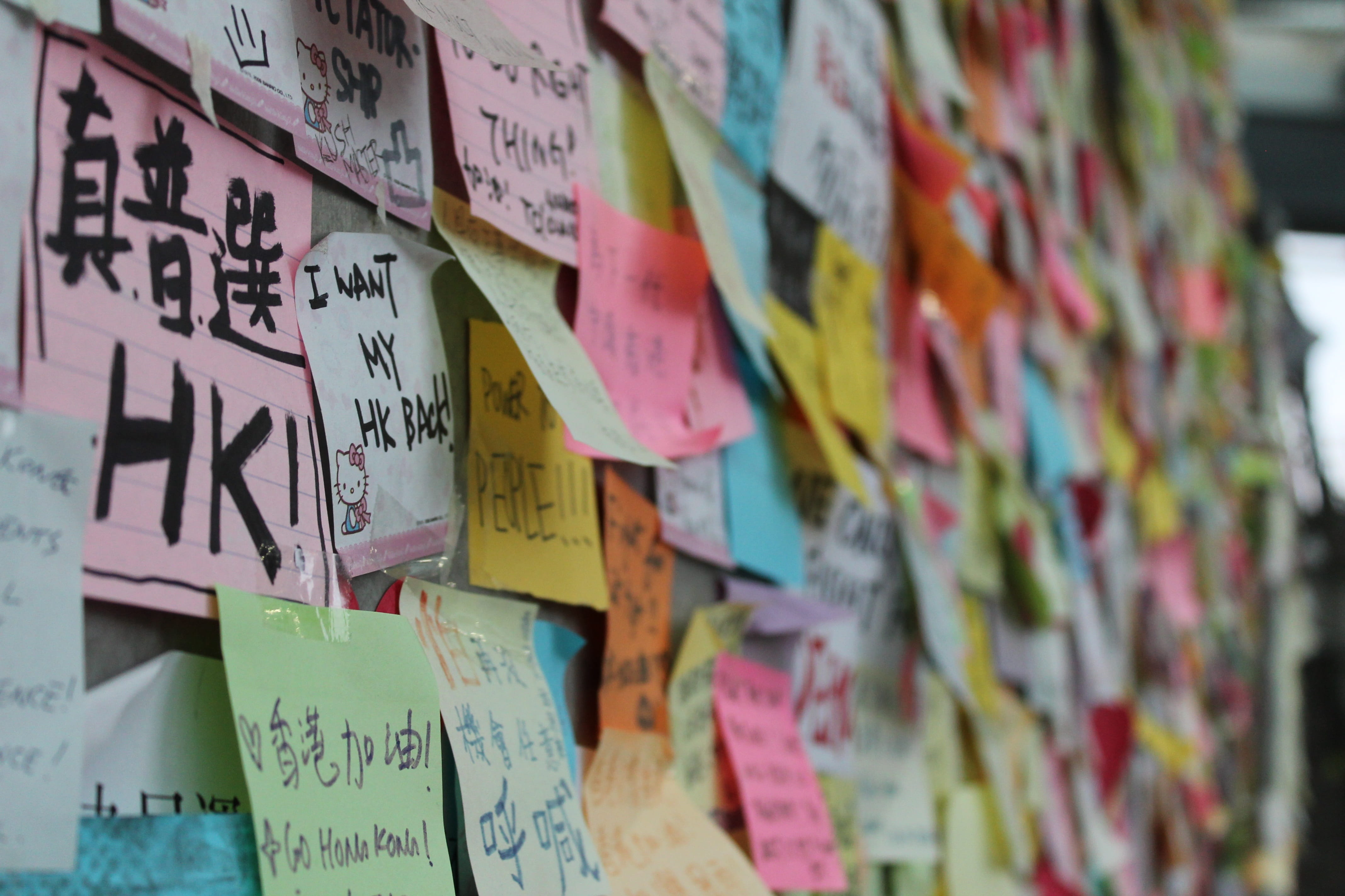 hanging, western script, message, Umbrella Movement, note, text, selective focus, china, 4K, post it, handwriting, Asia, multi colored, large group of objects, HD Wallpaper