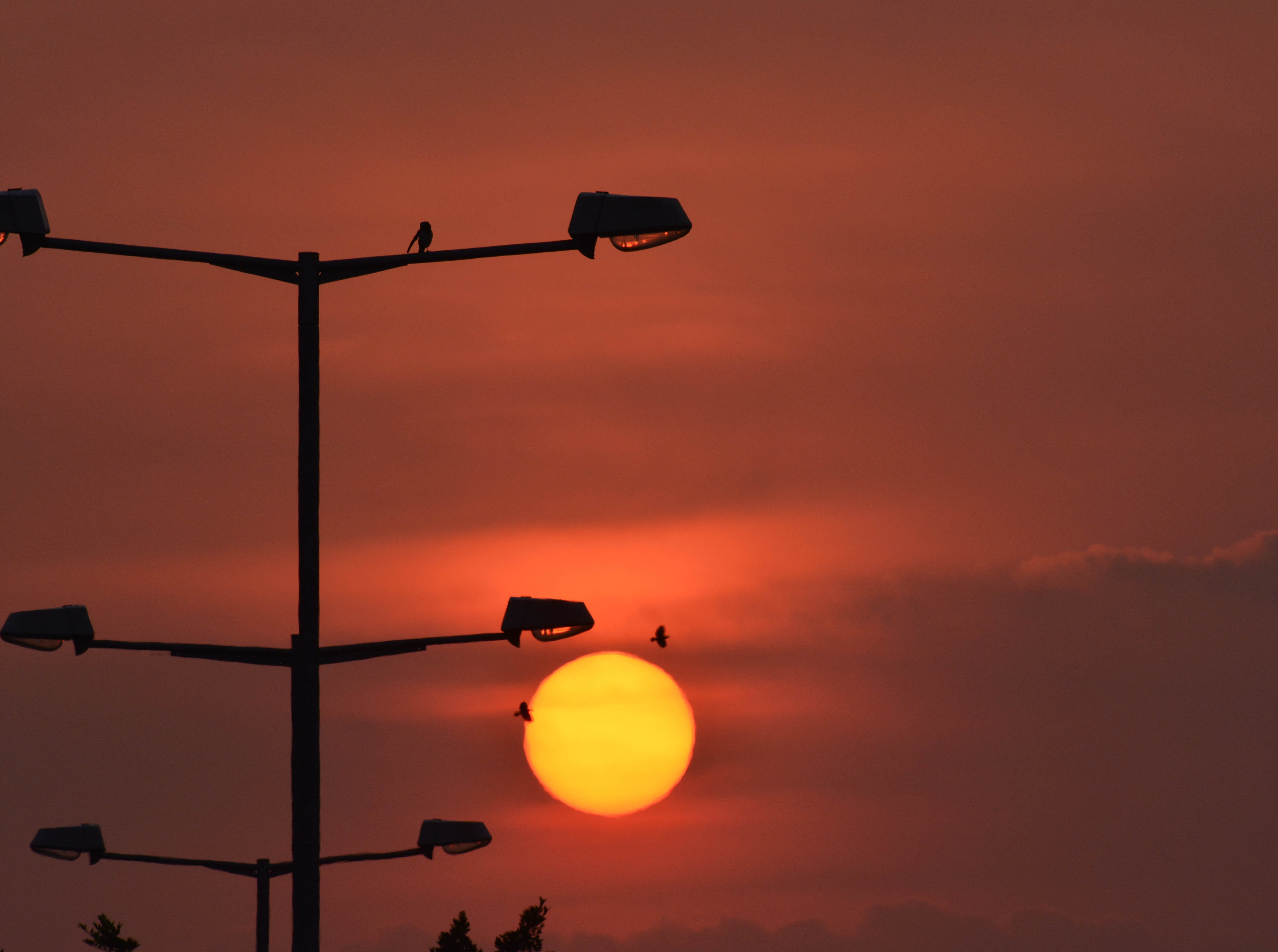 orange color, sign, dawn, cloud - sky, street light, light pole, nature, street, lighting equipment, pole, sunrise, central, outdoors, light, no people, HD Wallpaper
