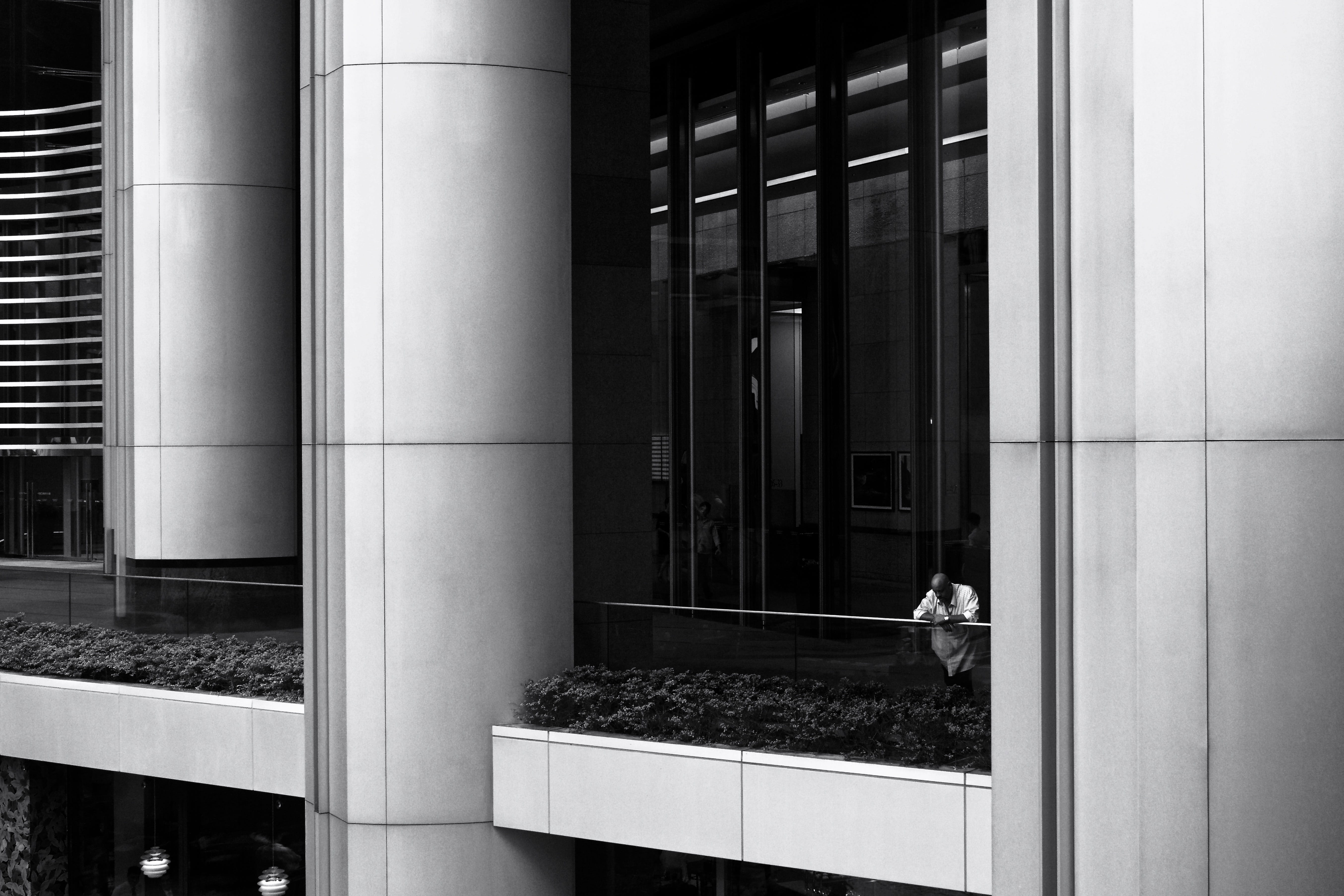 building exterior, day, architecture, potted plant, hong kong, architectural column, pipe - tube, nature, 5K, outdoors, no people, growth, modern, window, HD Wallpaper
