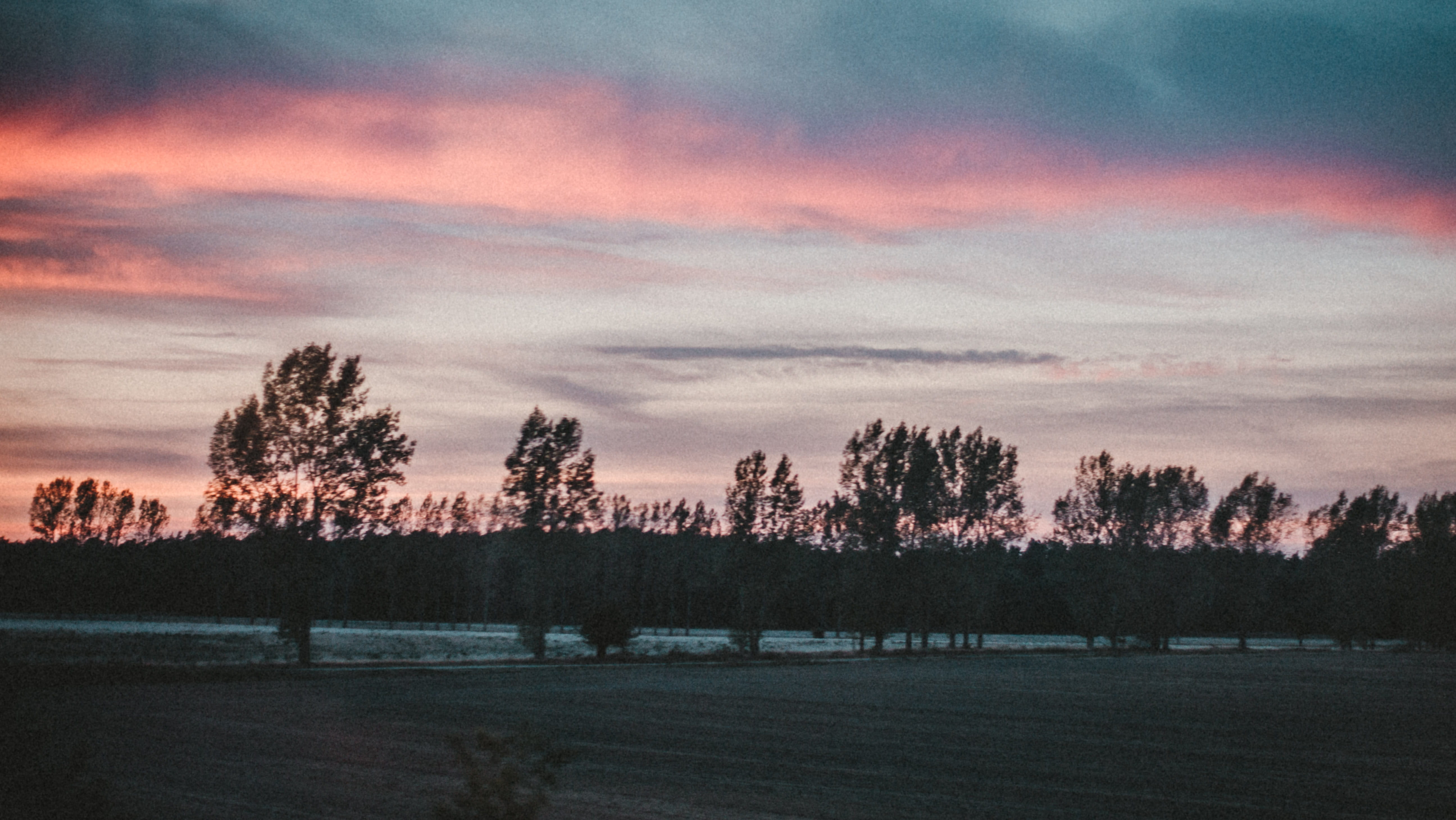 field, sunset, beauty in nature, scenics - nature, tranquil scene, silhouette, sky, germany, landscape, growth, gh5s, 5K, environment, gh5, no people, HD Wallpaper