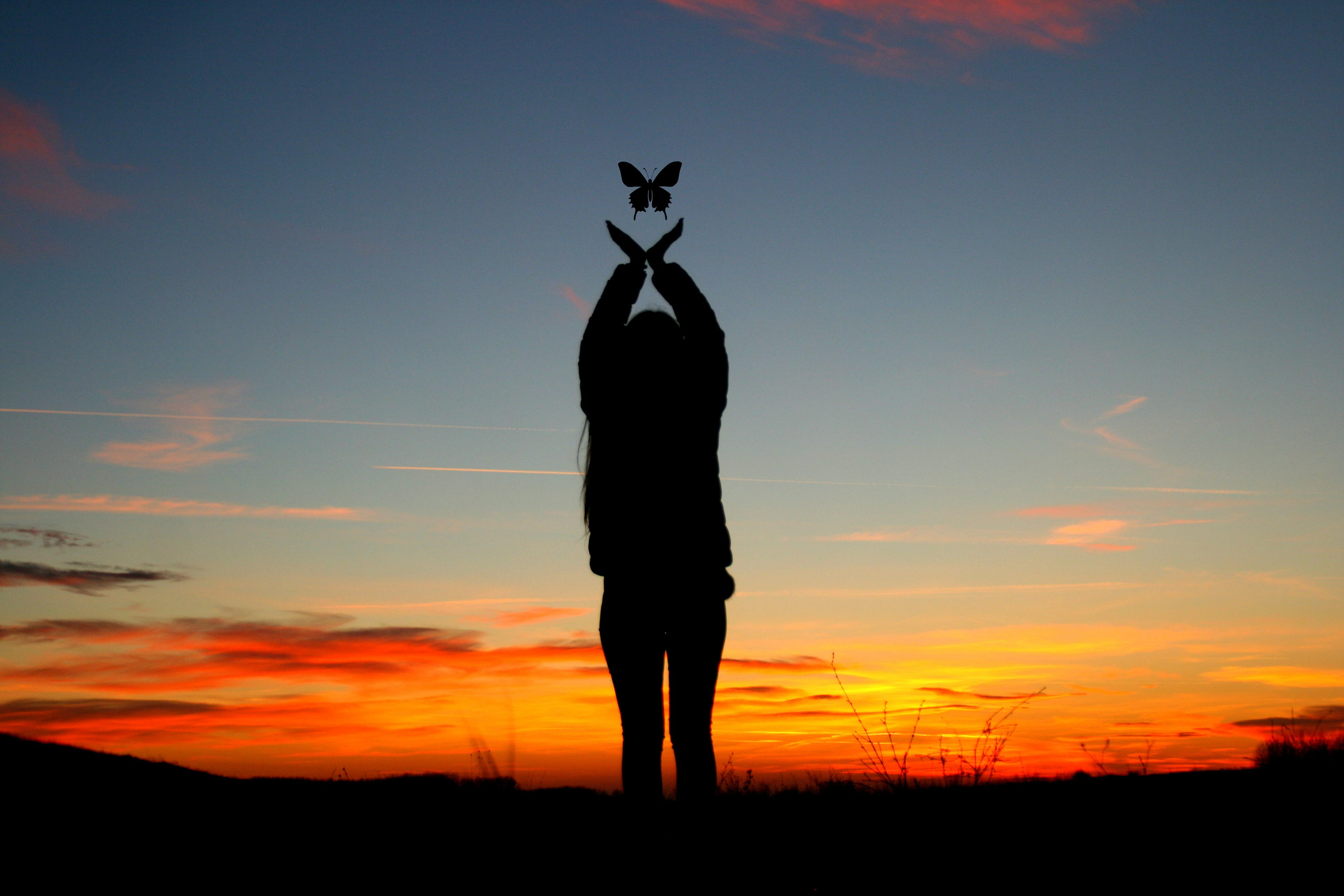 cloud, 4K, butterfly, nature, field, three quarter length, scenics - nature, red, silhouette, sunset, human arm, outdoors, cloud - sky, girl, land, one person, HD Wallpaper