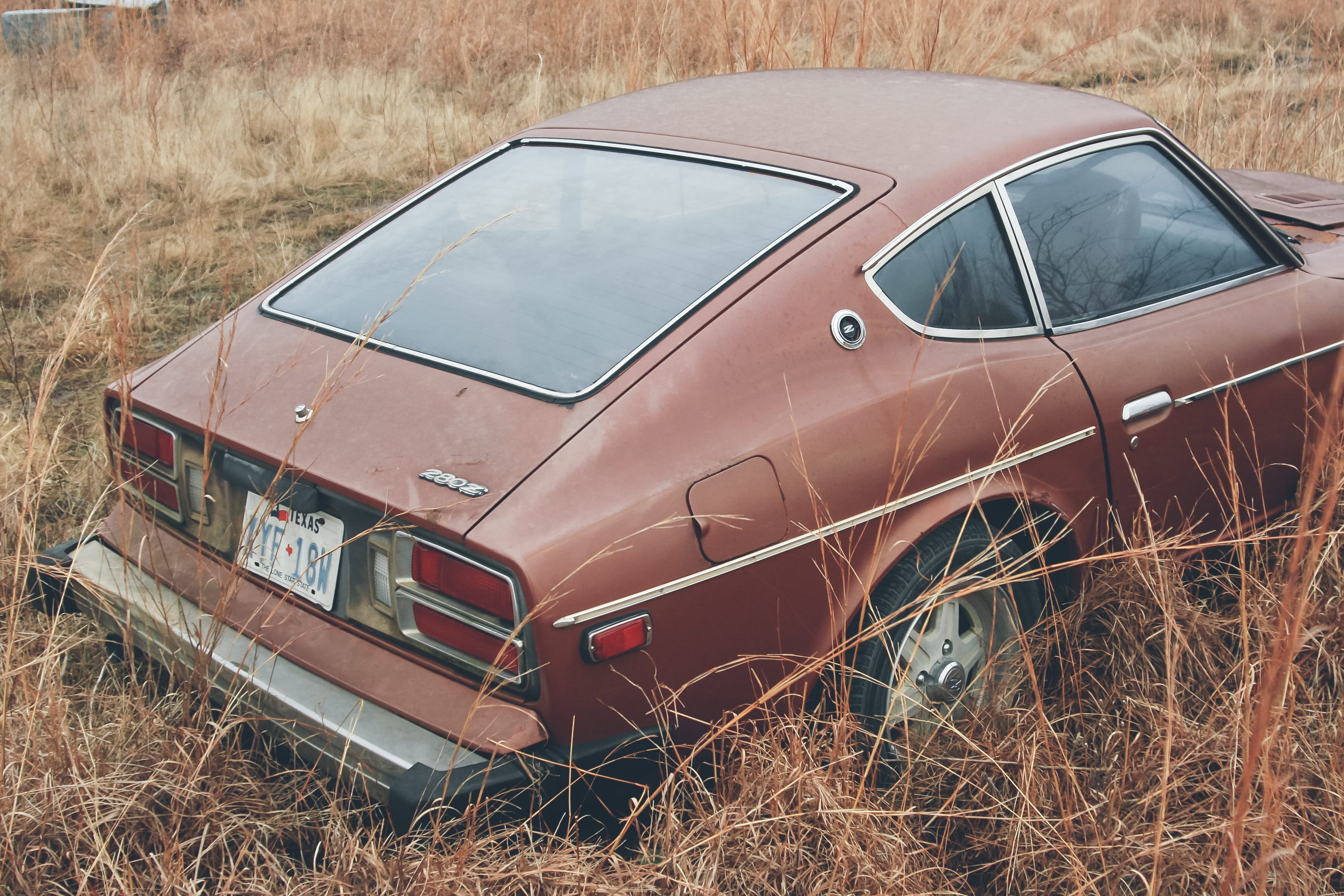 motor vehicle, datson 280z, plant, no people, 2K, run-down, abandoned, rusty, brown, old, land, field, land vehicle, ruined, deterioration, rusty car, HD Wallpaper