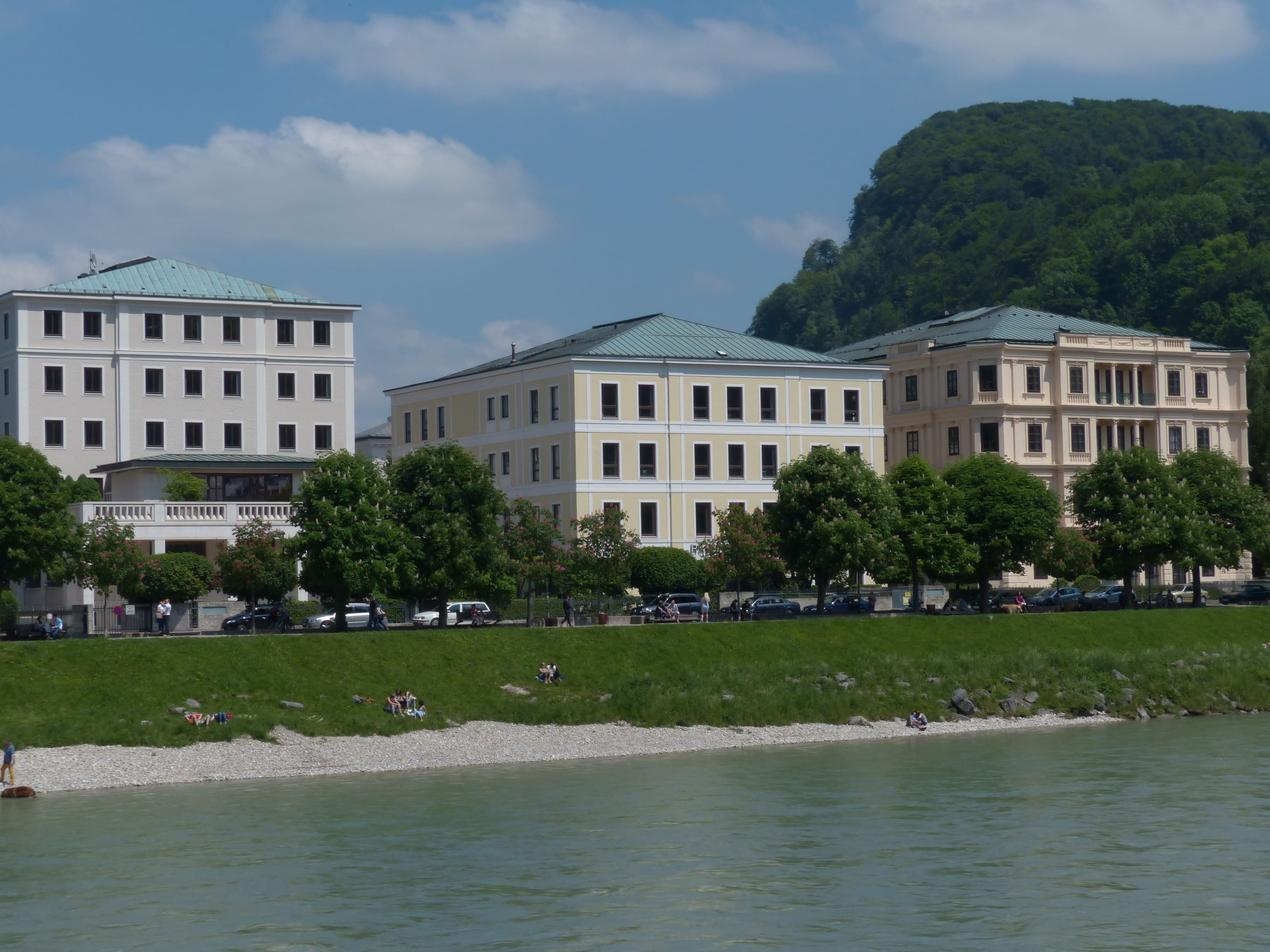 nature, plant, day, city, sky, waterfront, river, growth, outdoors, reflection, Neustadt, salzach, building, cloud - sky, salzach river, building Exterior, HD Wallpaper