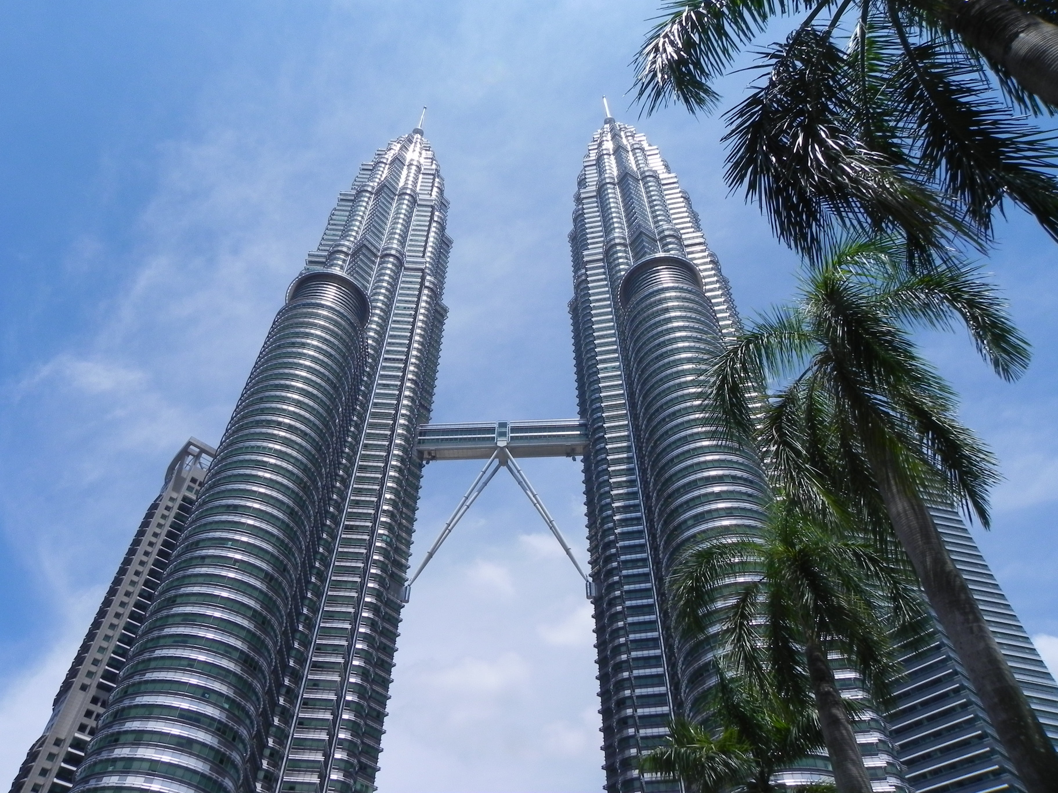 no people, day, tropical tree, building, cityscape, sky, kuala, building Exterior, tropical climate, office building exterior, tree, cloud - sky, city, HD Wallpaper