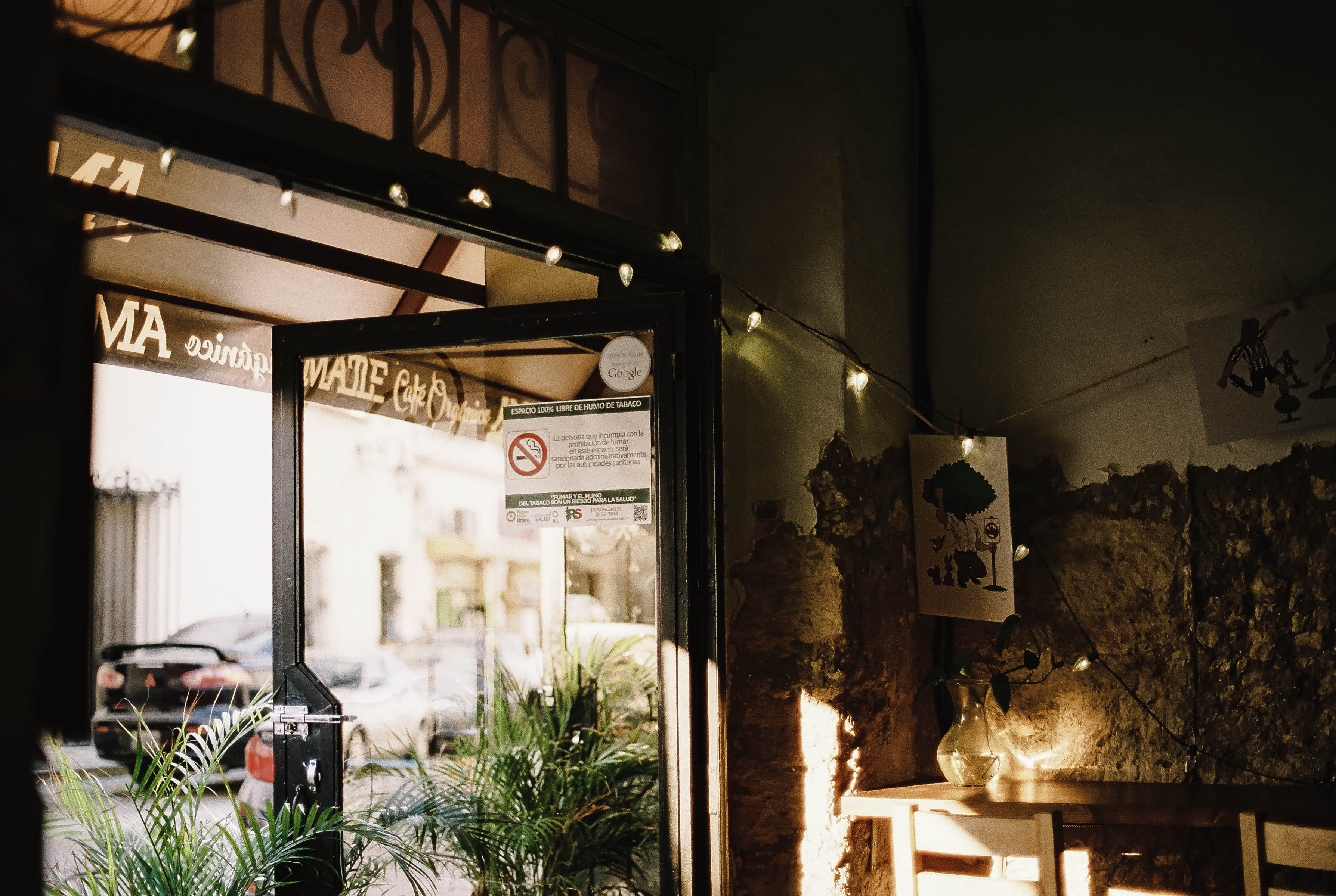 illuminated, communication, potted plant, coffee shop, day, glass - material, 2K, door, text, sign, building exterior, outdoors, mexico, western script, HD Wallpaper
