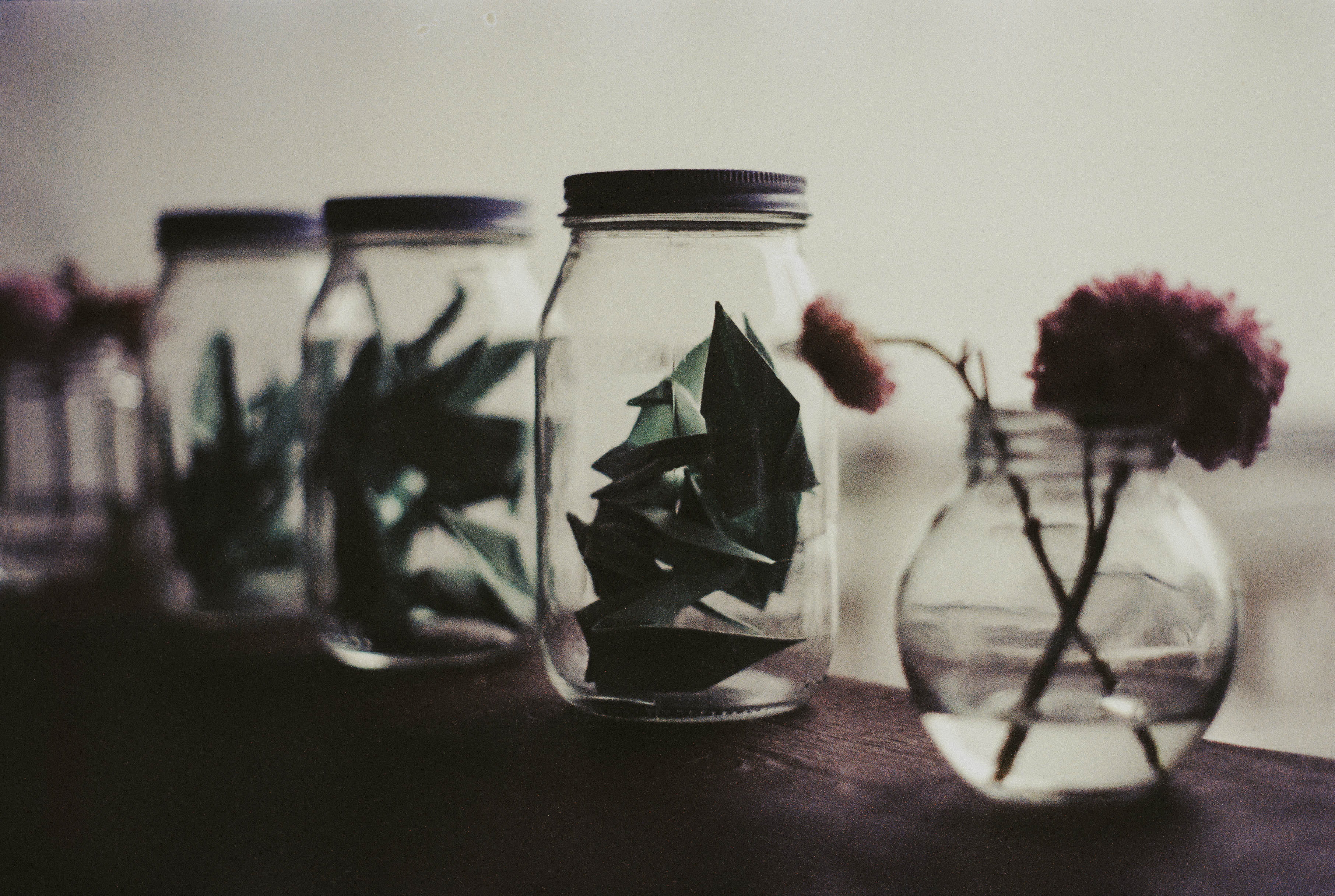 flowering plant, origami, glass - material, container, bottle, monterrey, vase, nature, flower, no people, side by side, jar, decoration, transparent, indoors, HD Wallpaper