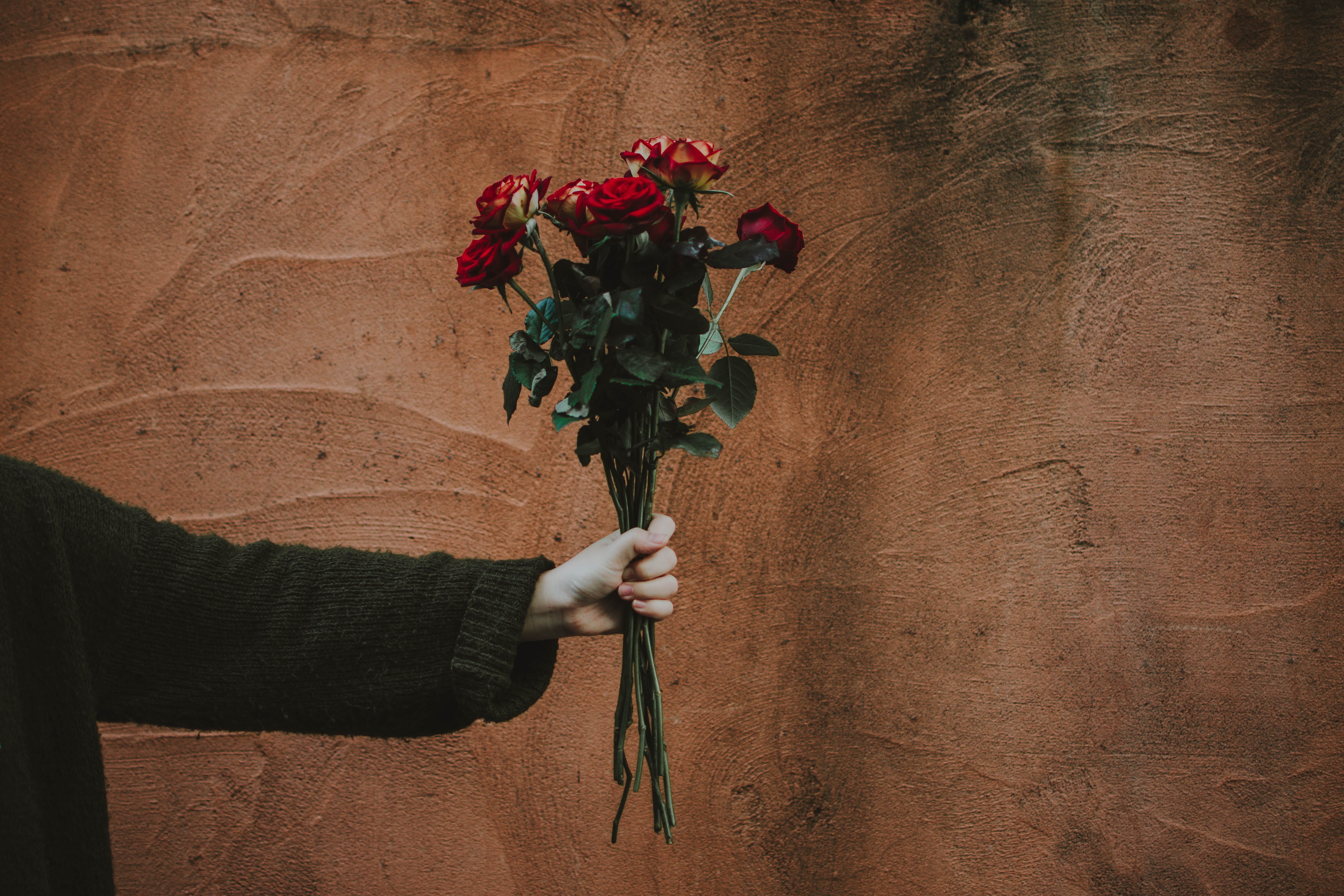 floral, nature, arm, wall, celebration, valentines day, decoration, vintage, single Flower, simple, hand, flower, lifestyle, love, person, gift, people, HD Wallpaper