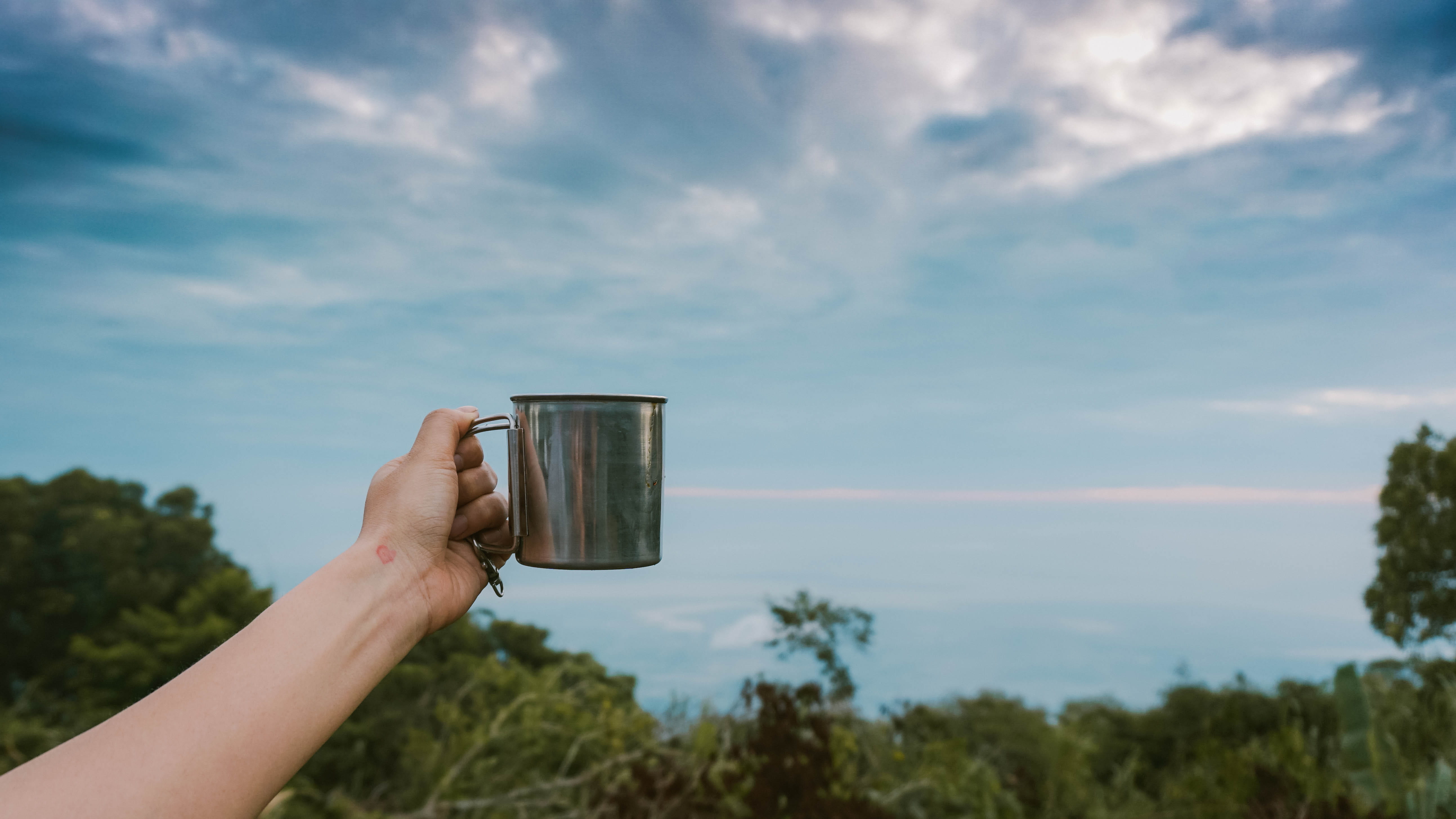 plant, day, mug, gray, 5K, holding, nature, cloud - sky, drink, tree, person, photography themes, cup, steel, body part, hand, outdoors, mountain, communication, HD Wallpaper