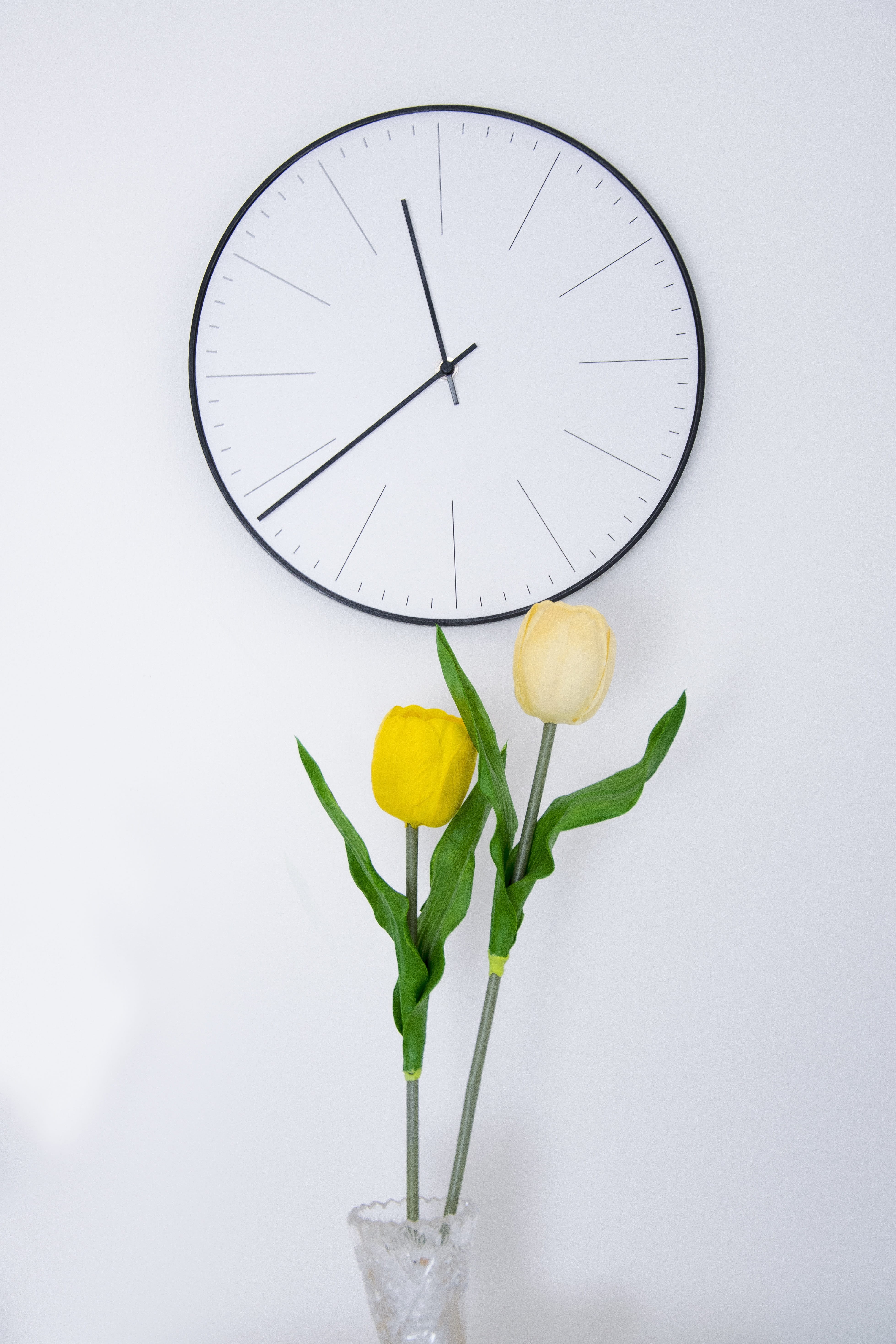 leaf, indoors, freshness, flowering plant, fragility, room, time, plant part, instrument of time, studio shot, close-up, minimum, vulnerability, plant, Phone HD Wallpaper