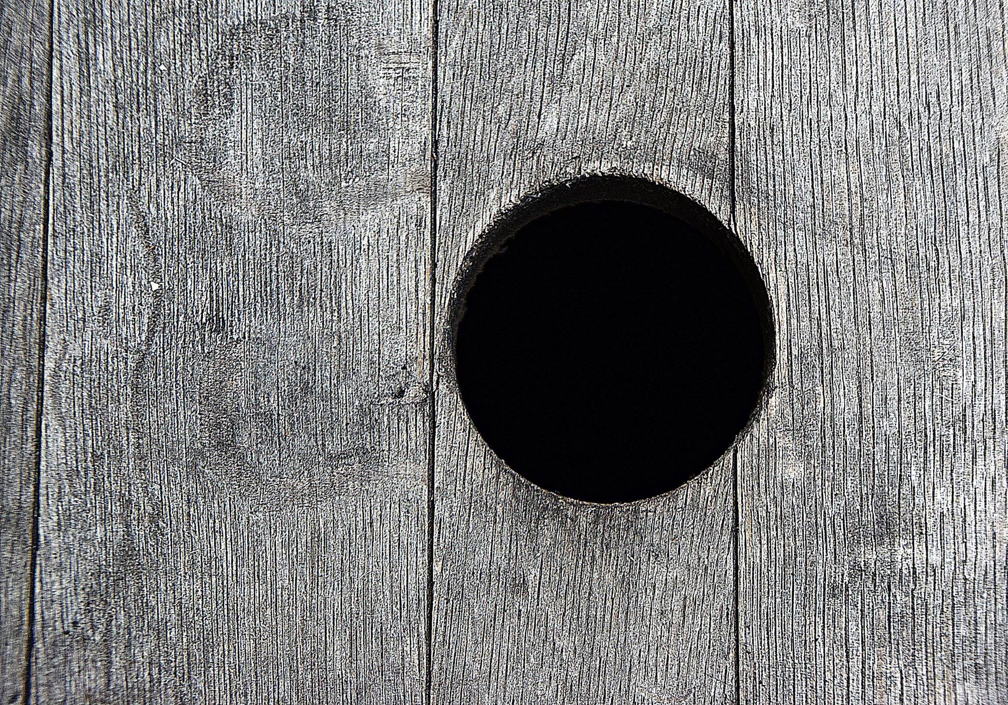 1080P, black color, circle, wood grain, wood - material, textured effect, directly above, no people, shape, pattern, hole, day, backgrounds, close-up, HD Wallpaper
